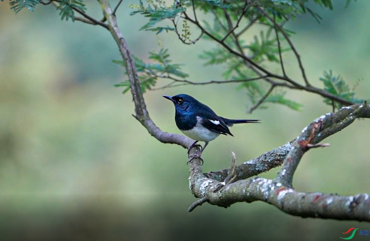 ΢��ͼƬ_20240124221815 ����.jpg