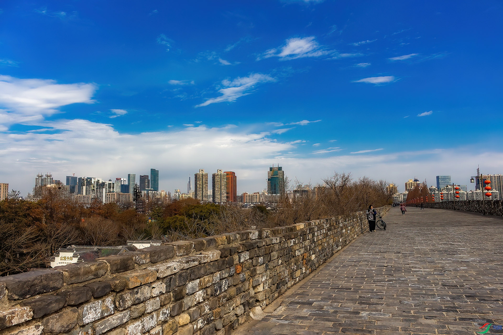 _MG_8869.jpg