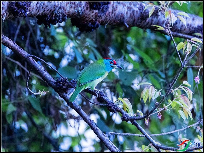 ��������ľ��