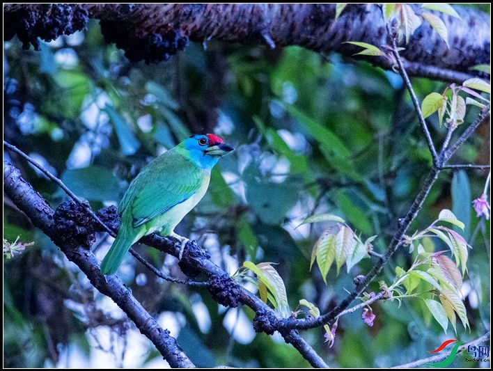 ��������ľ��