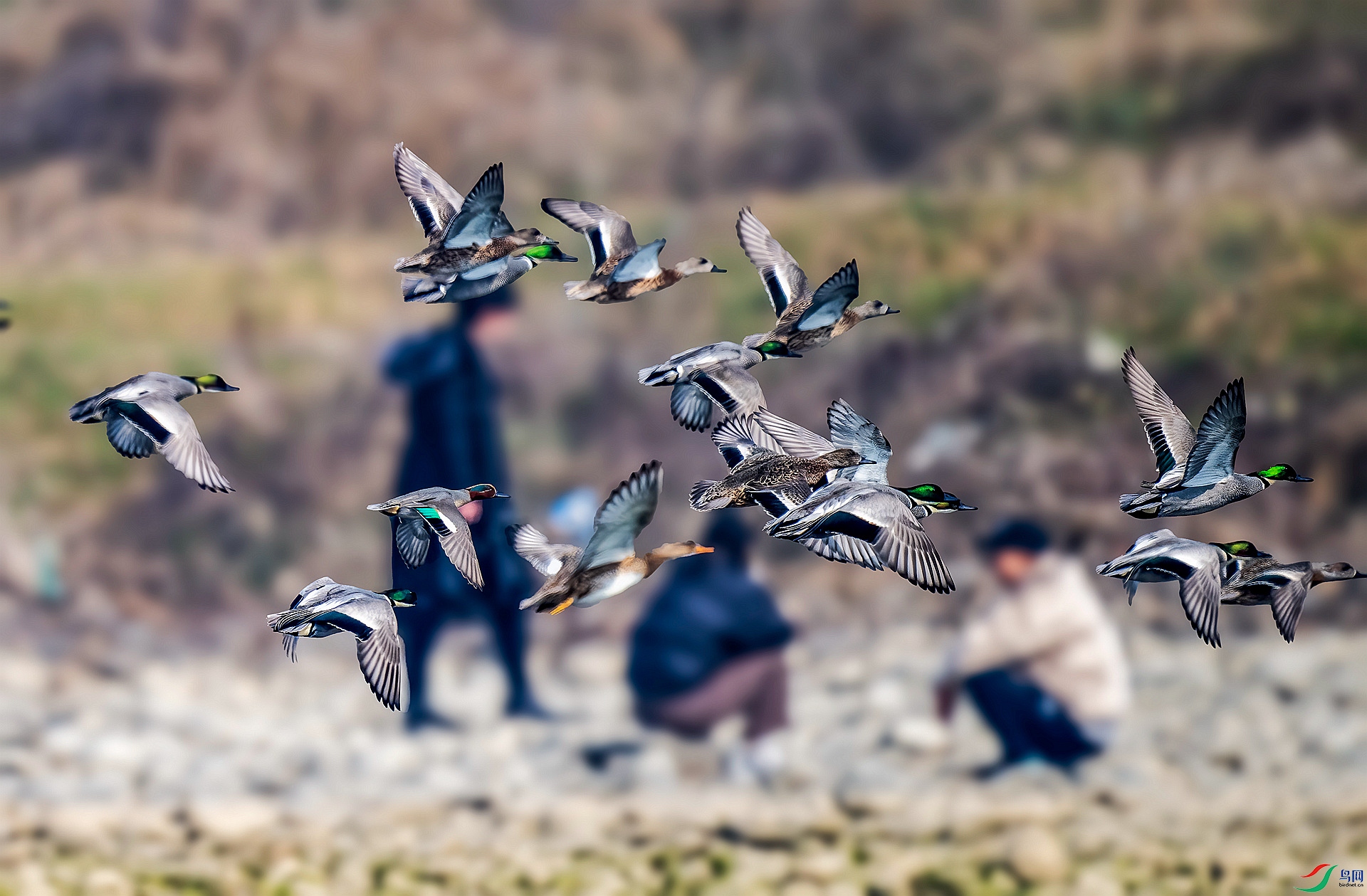 DSC_5482 ����_����.jpg