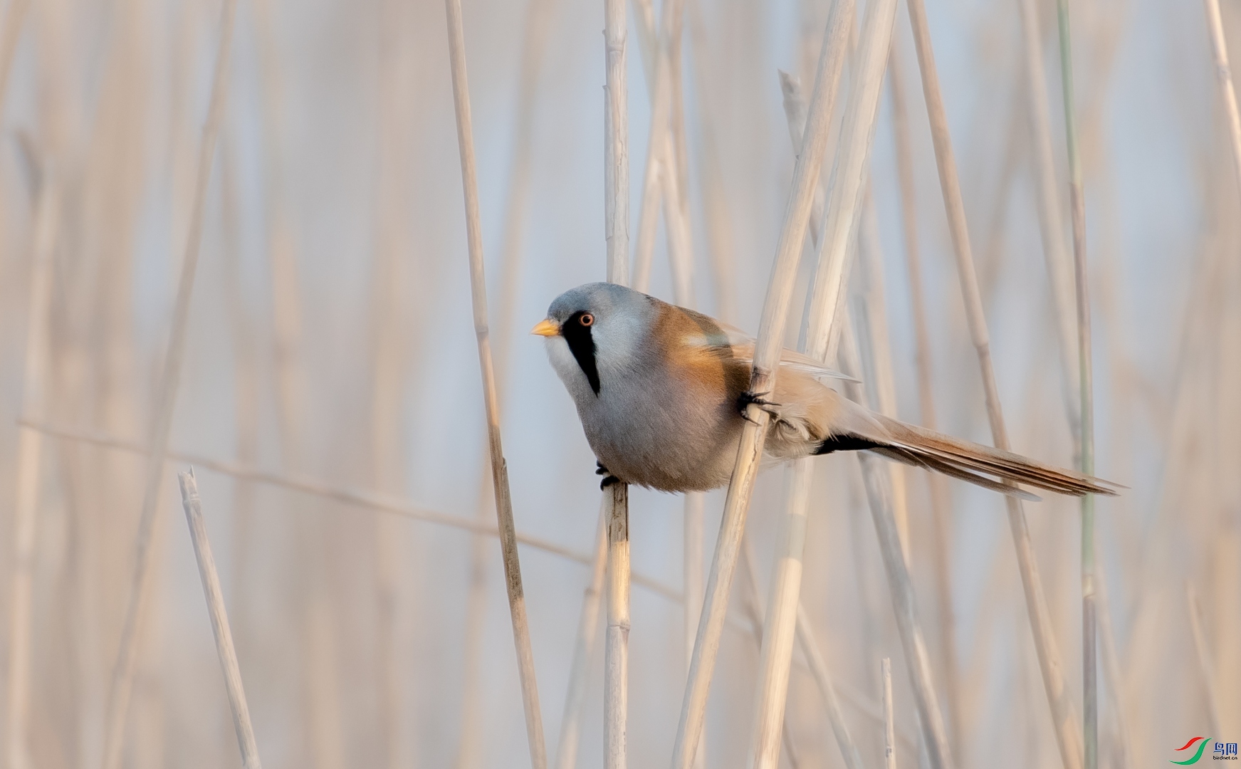 DSC_0296.jpg