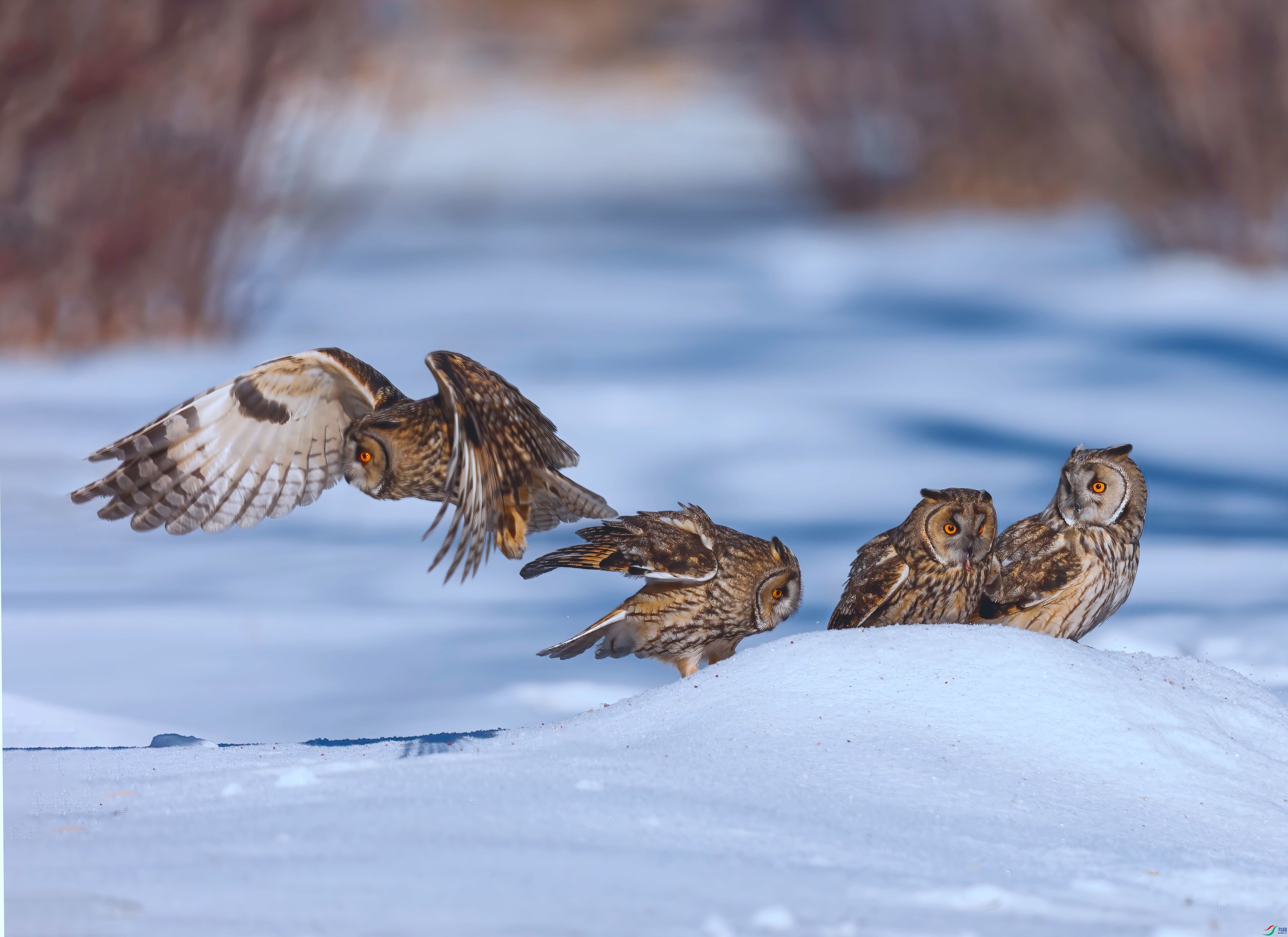 _EZP2729 -n_����.jpg