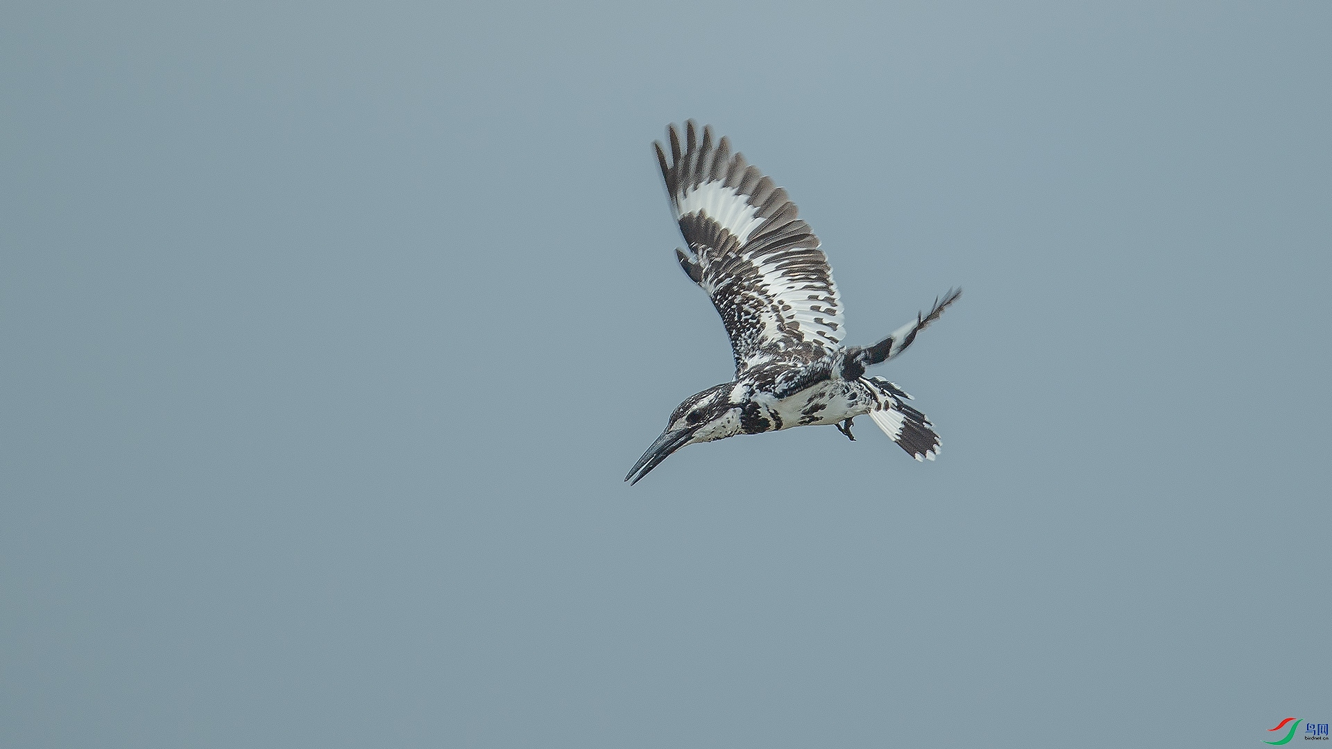 DSC_9387.jpg