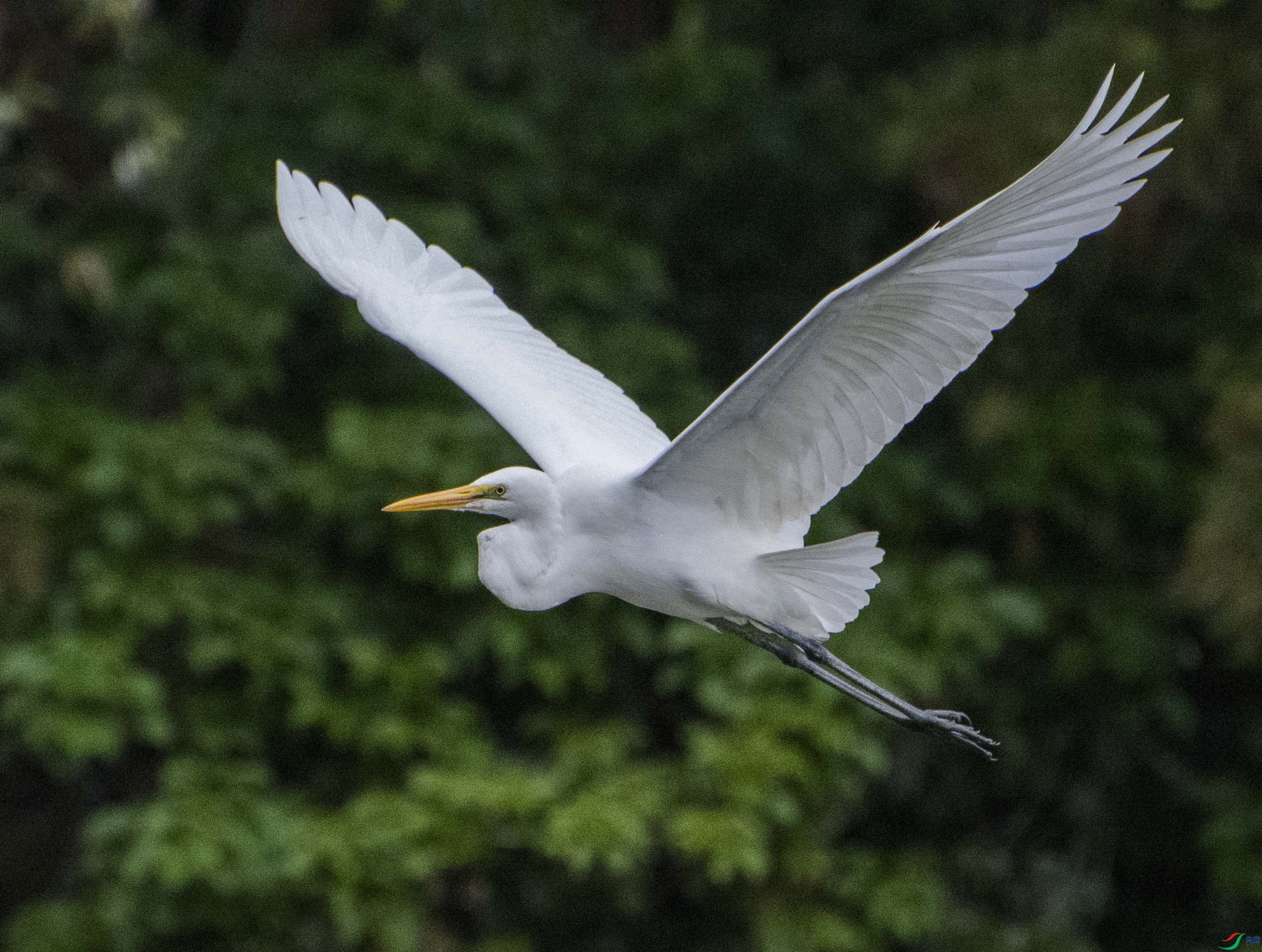 DSC_7780.jpg