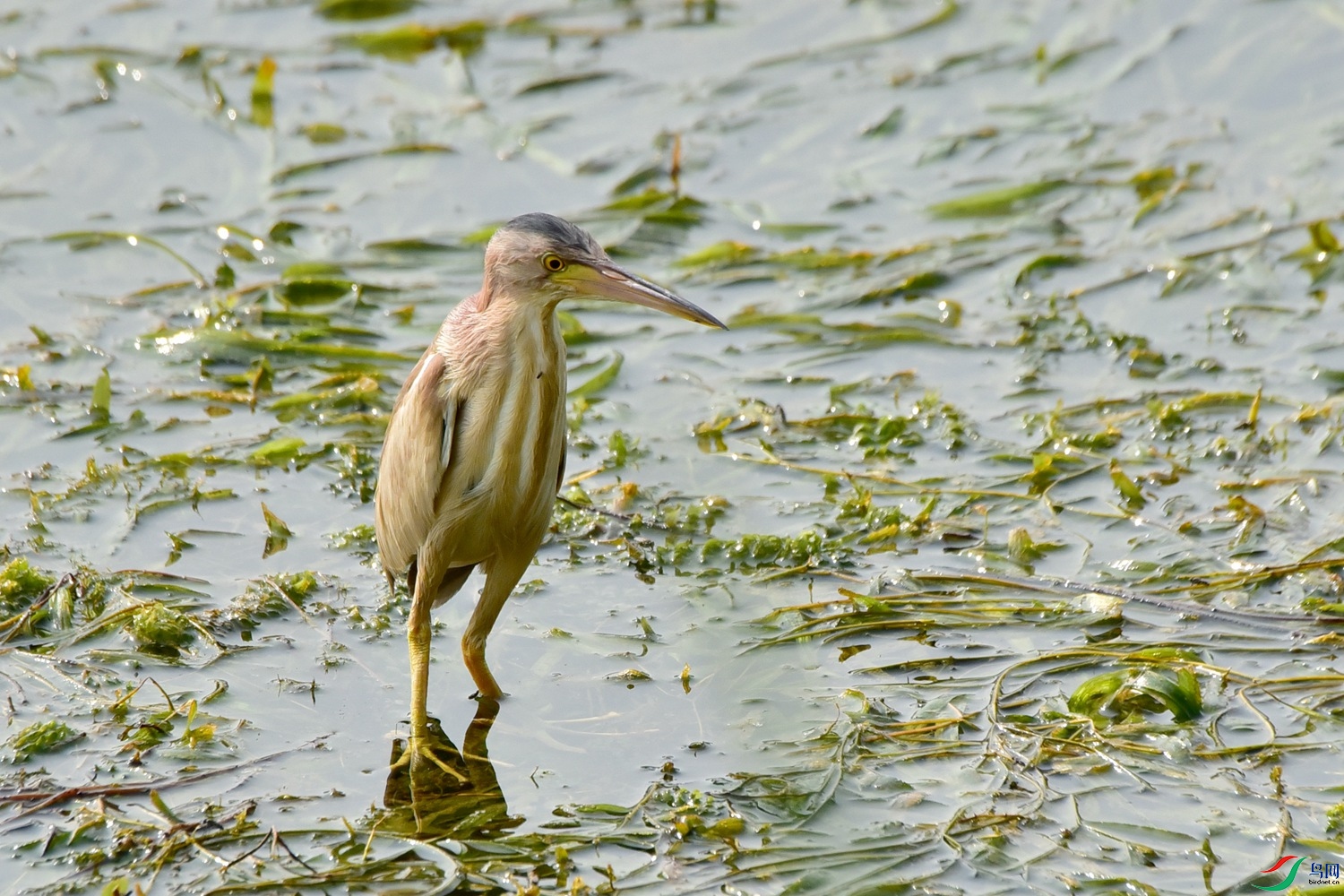 DSC_8289.JPG