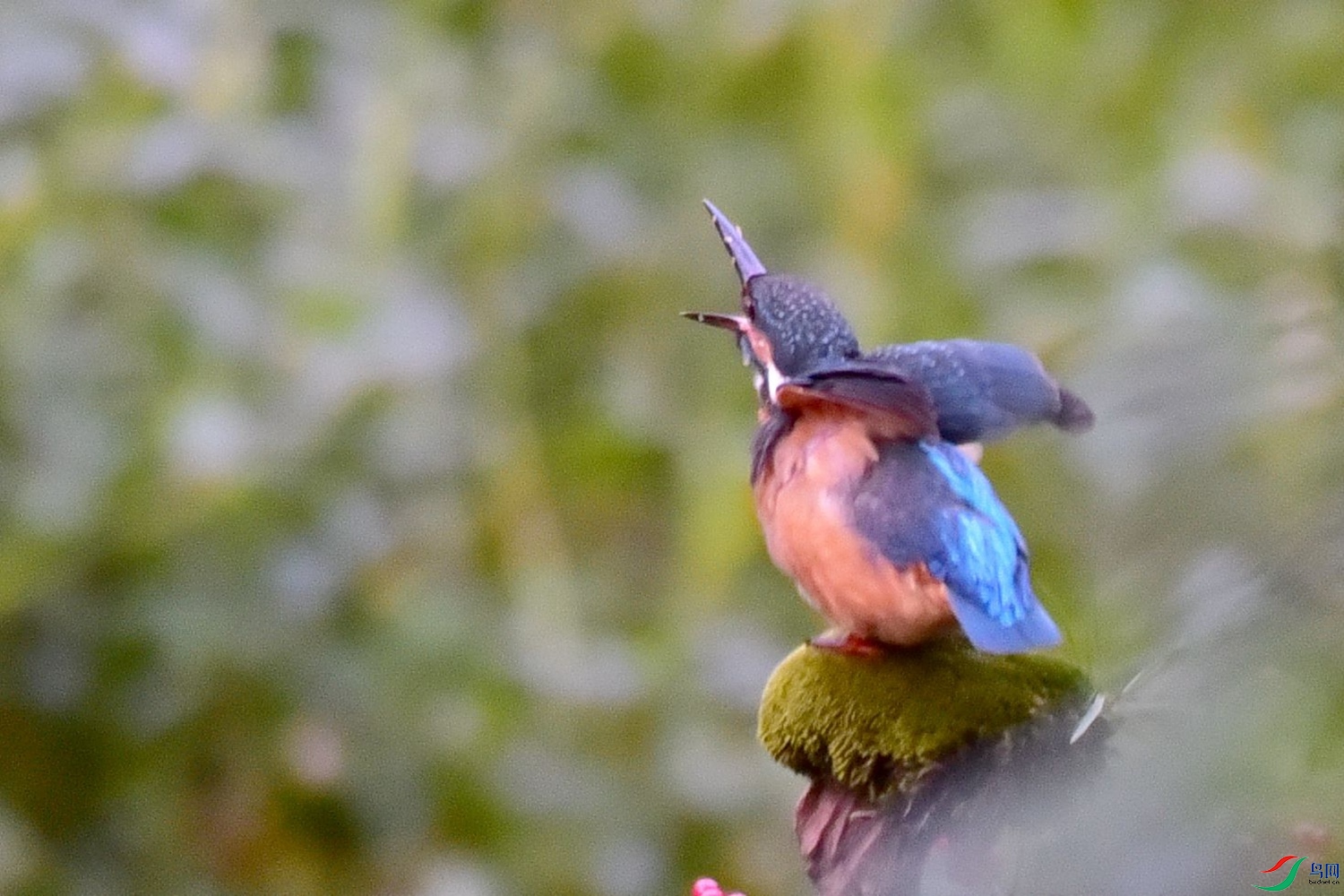DSC_2761.JPG