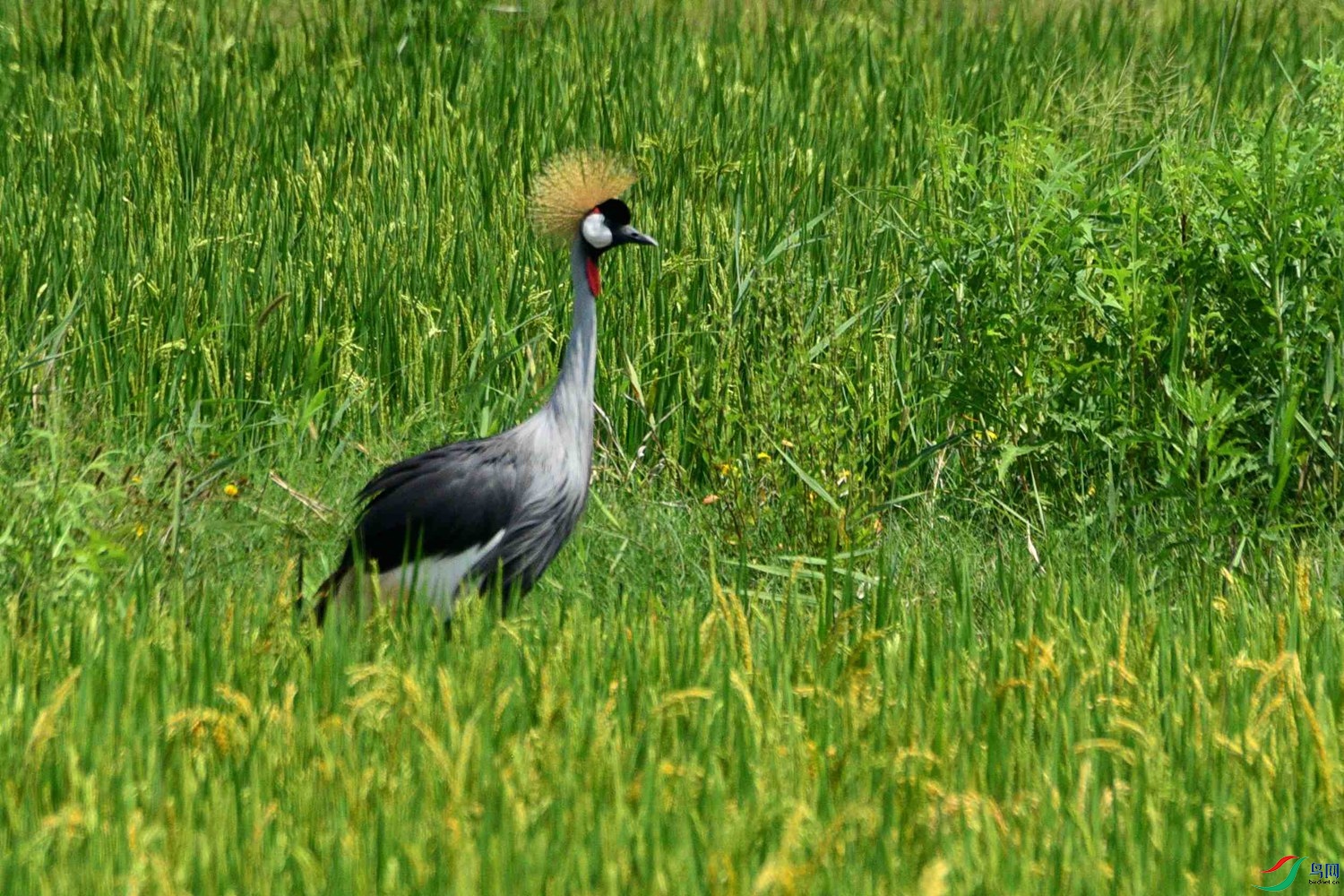 DSC_5197.JPG