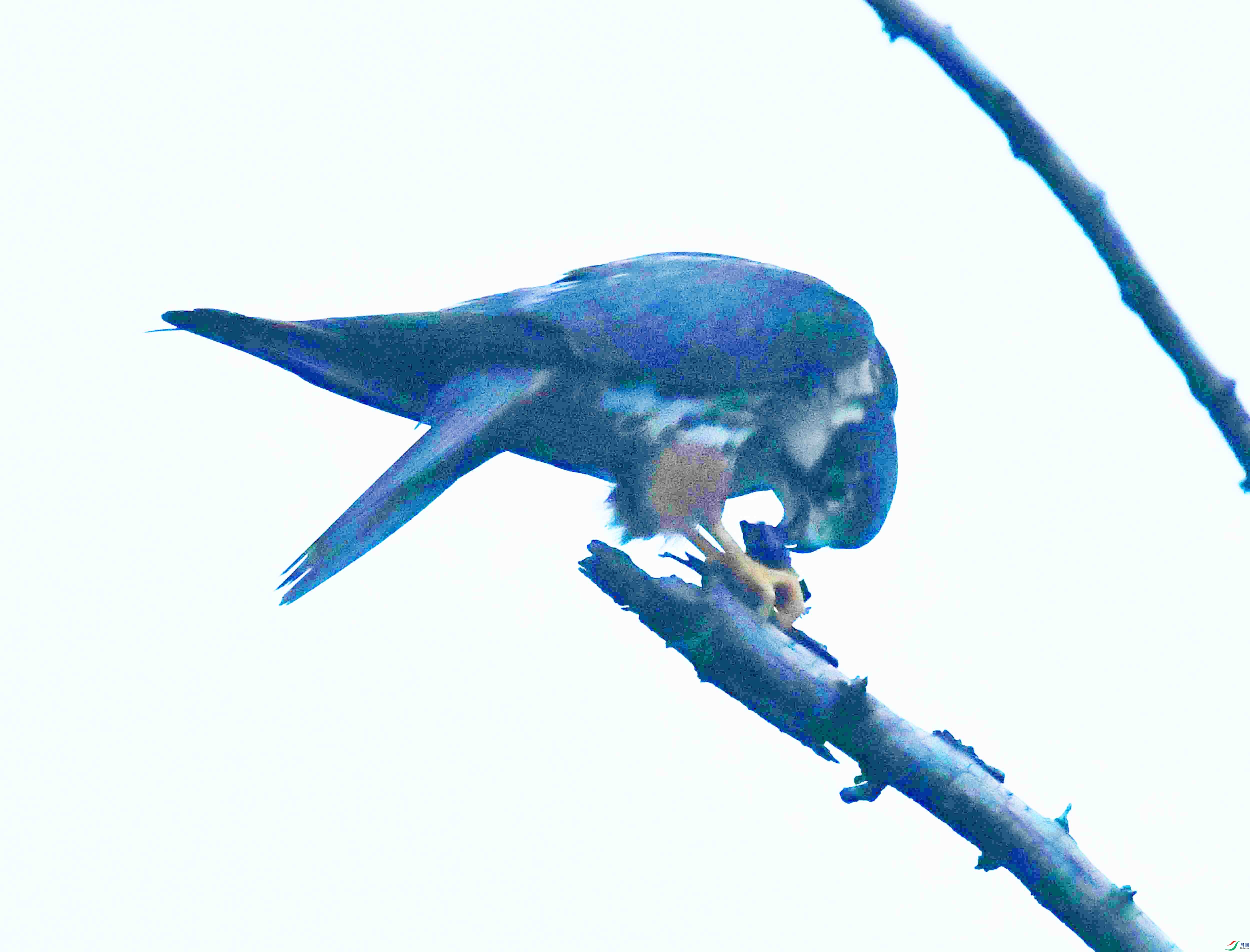 DSC_4928.JPG
