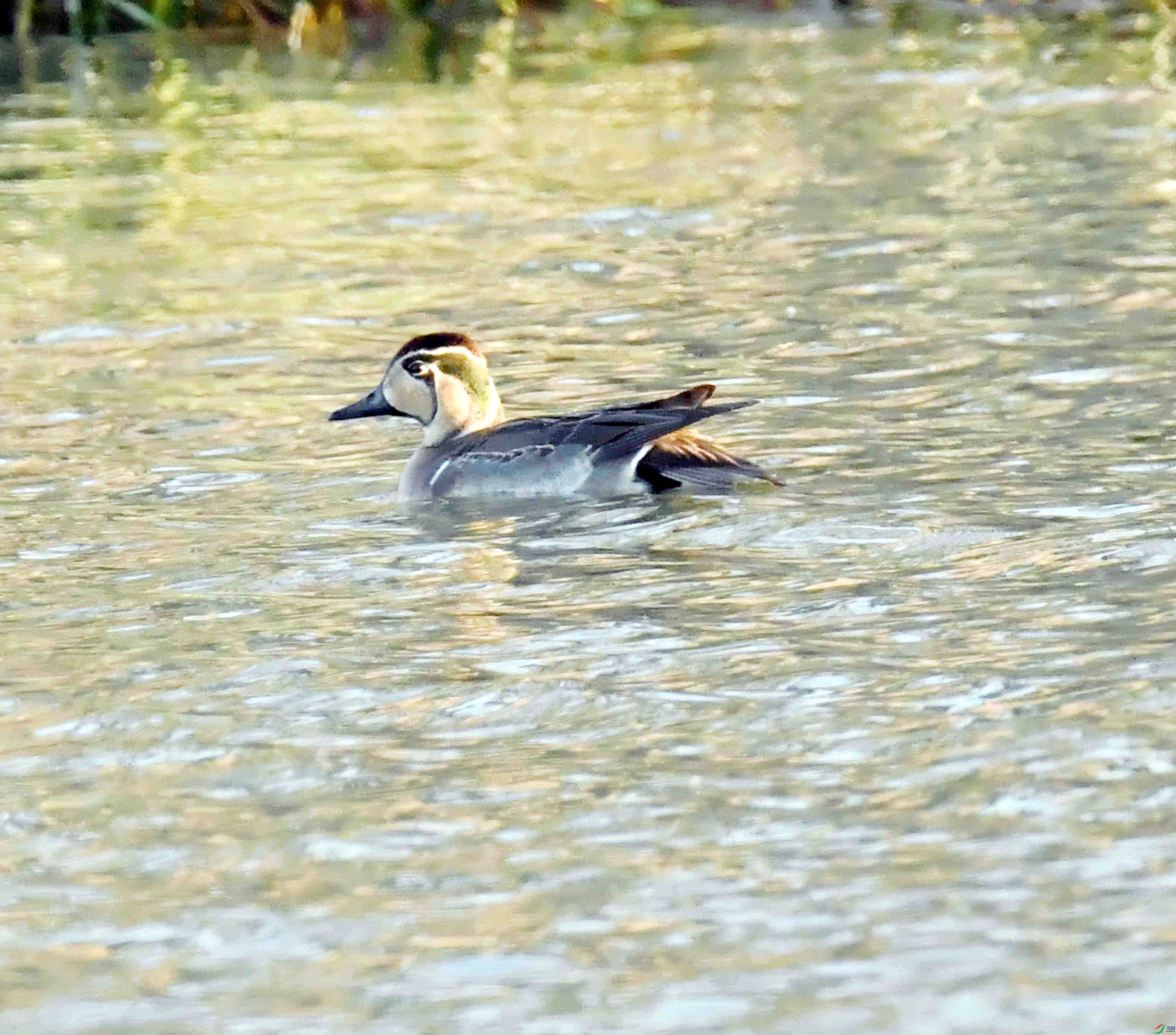 DSC_0058.JPG