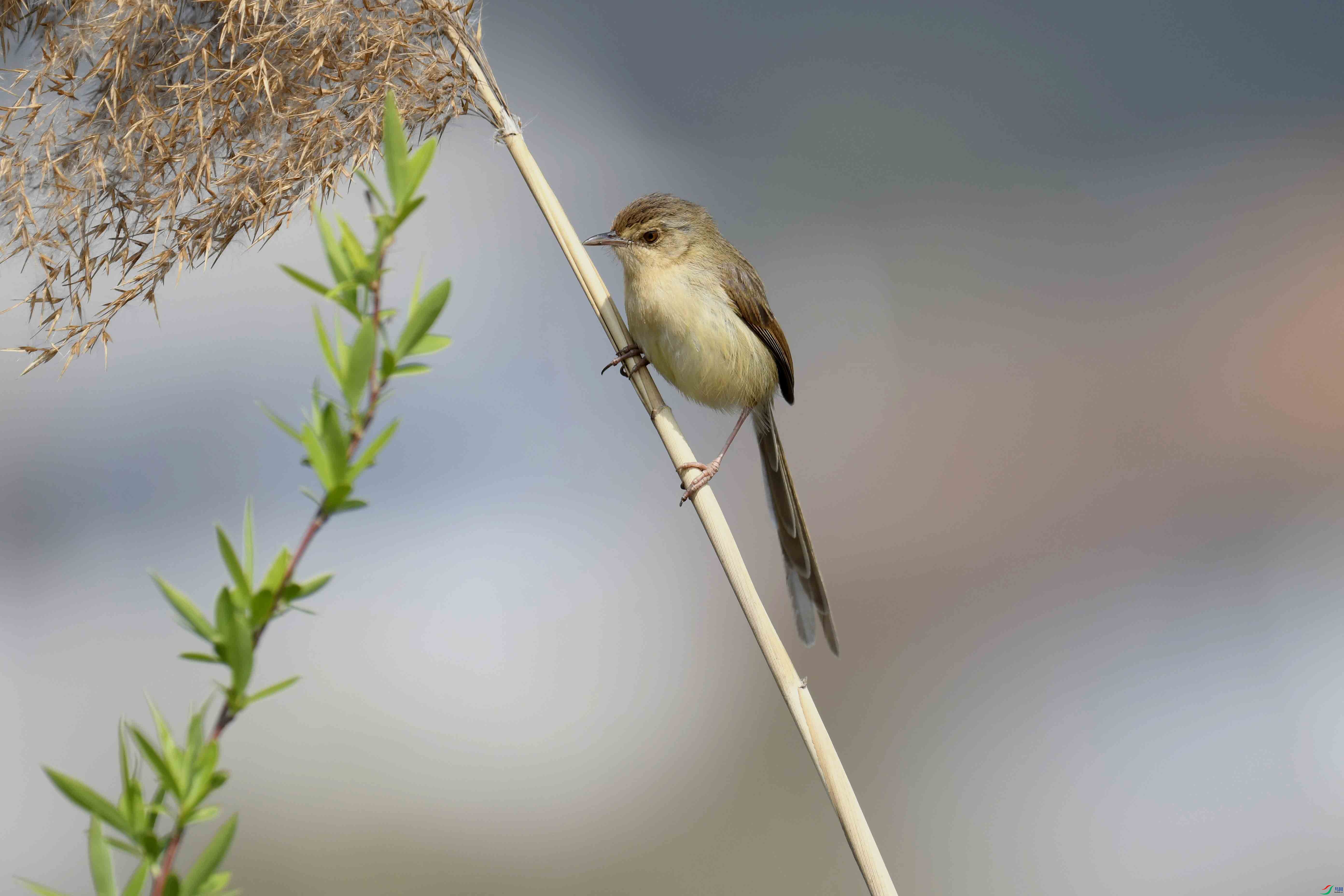 _DSC6429_����.jpg