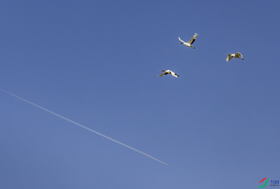 _O0A1649 ����.jpg