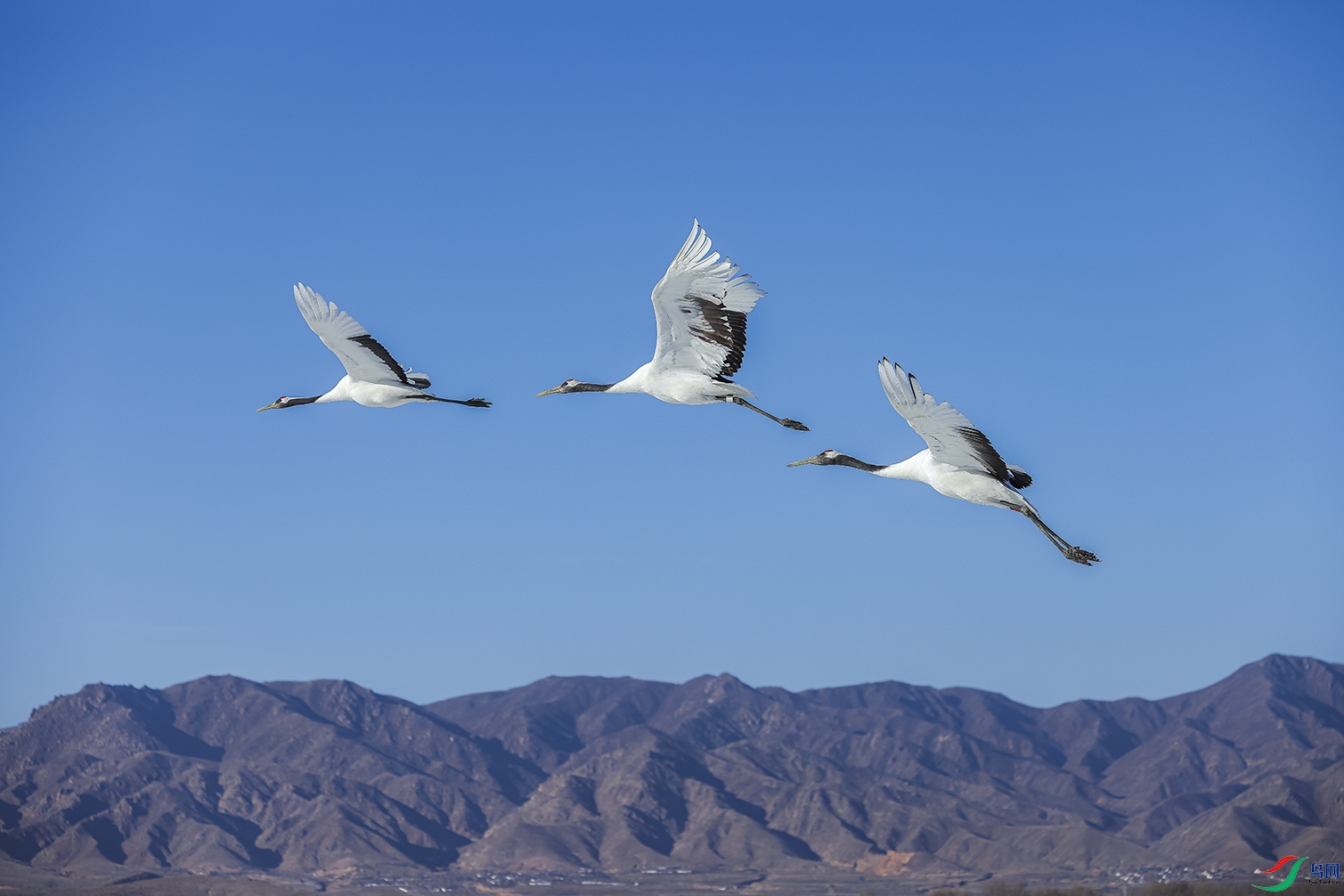 _O0A1210 ����.jpg