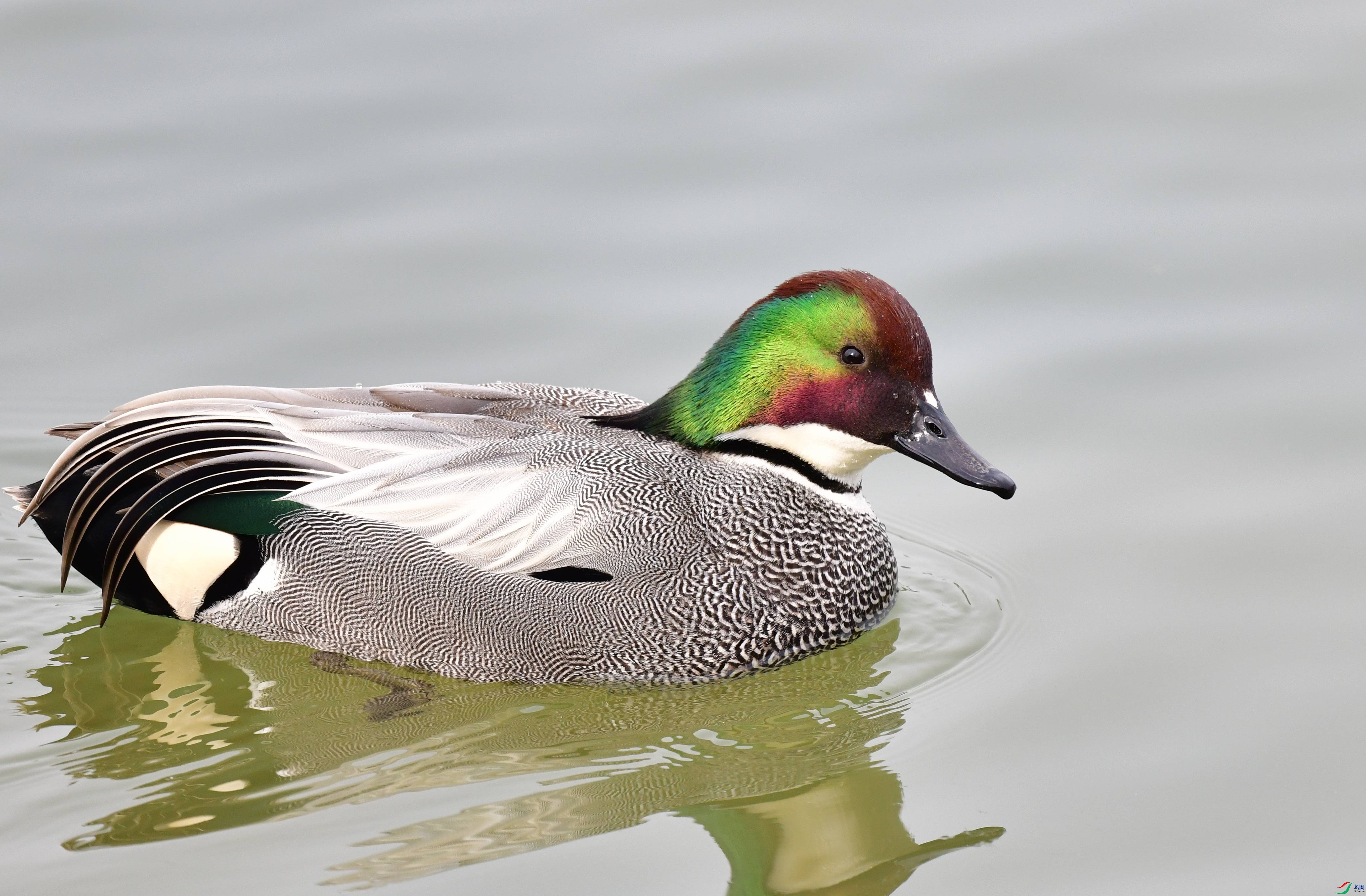 DSC_9279_conew2.jpg