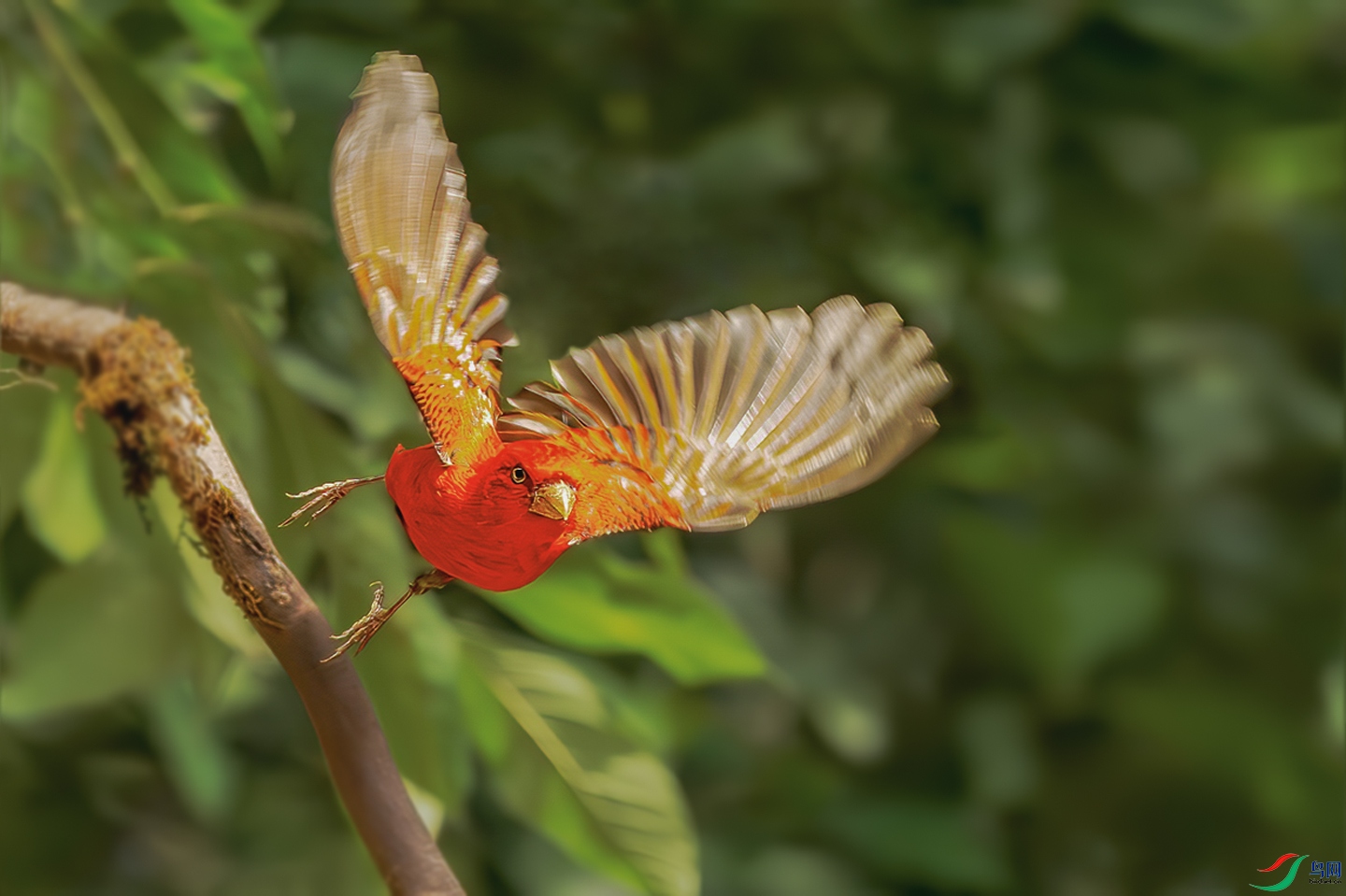 DSC_1566-����ǿ-NR-1-1-1.jpg