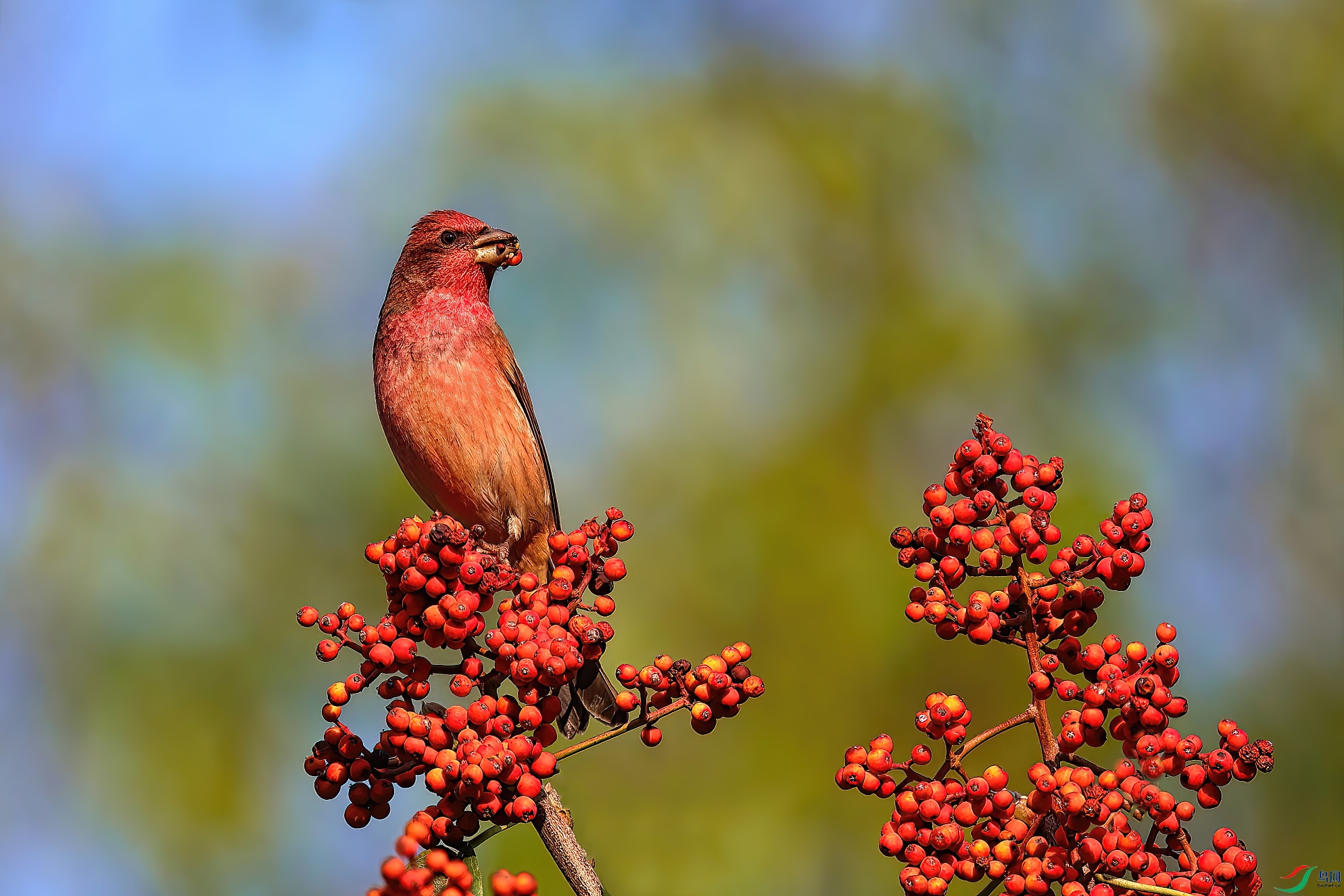 ������Ĺ�ʵ