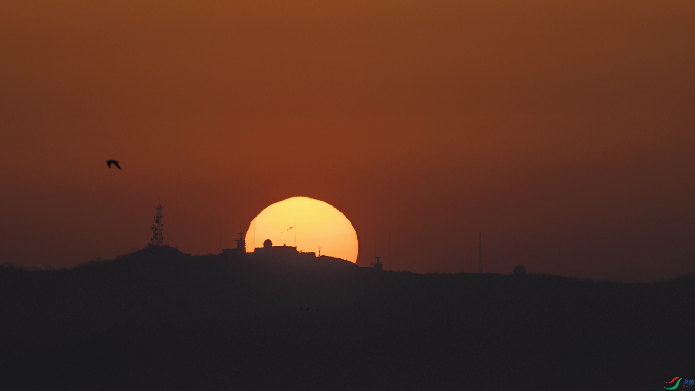 _5LM4271a.jpg