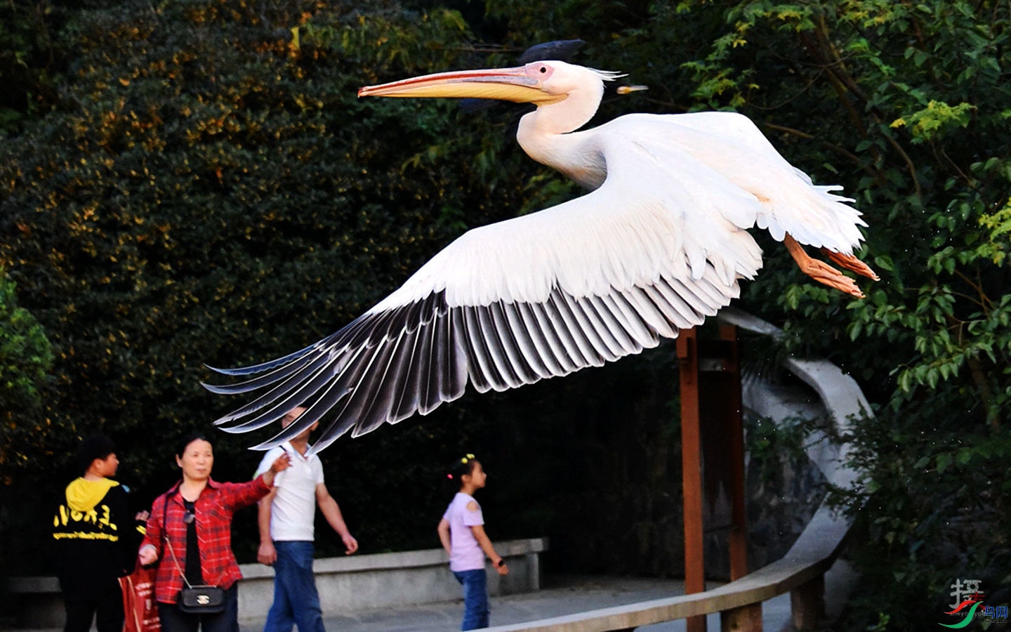 801 (30)_����.jpg