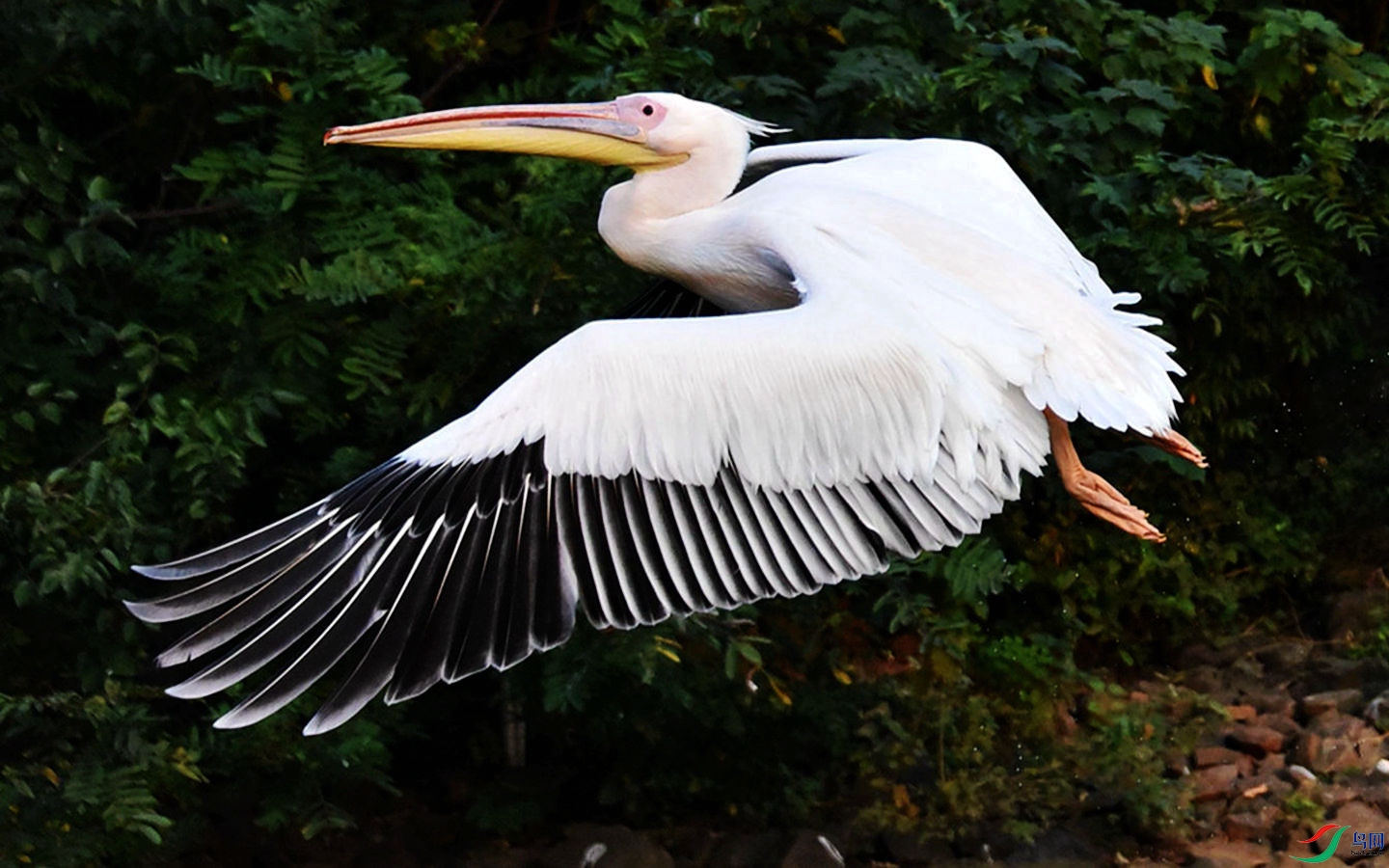 801 (32)_����.jpg