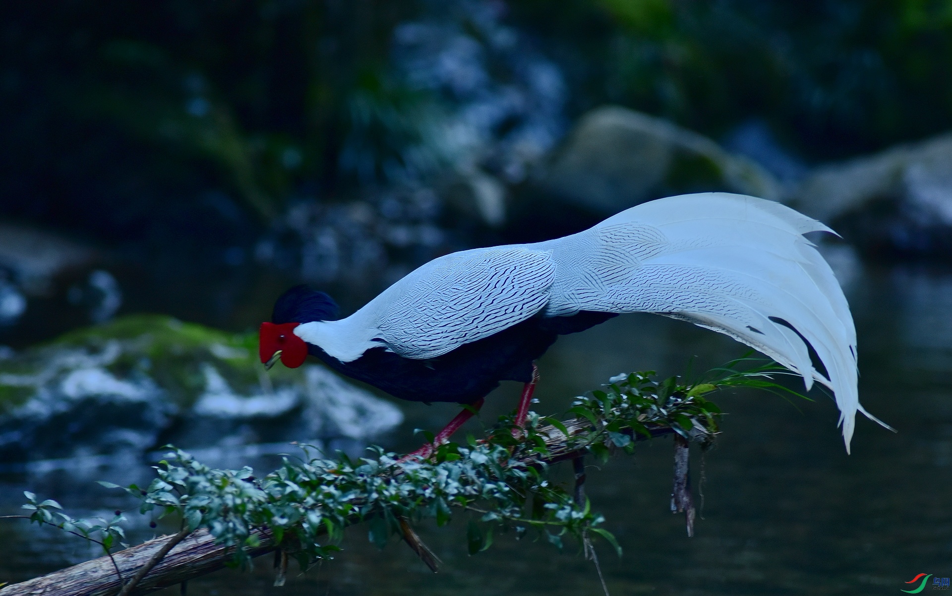 D8I_2300.jpg