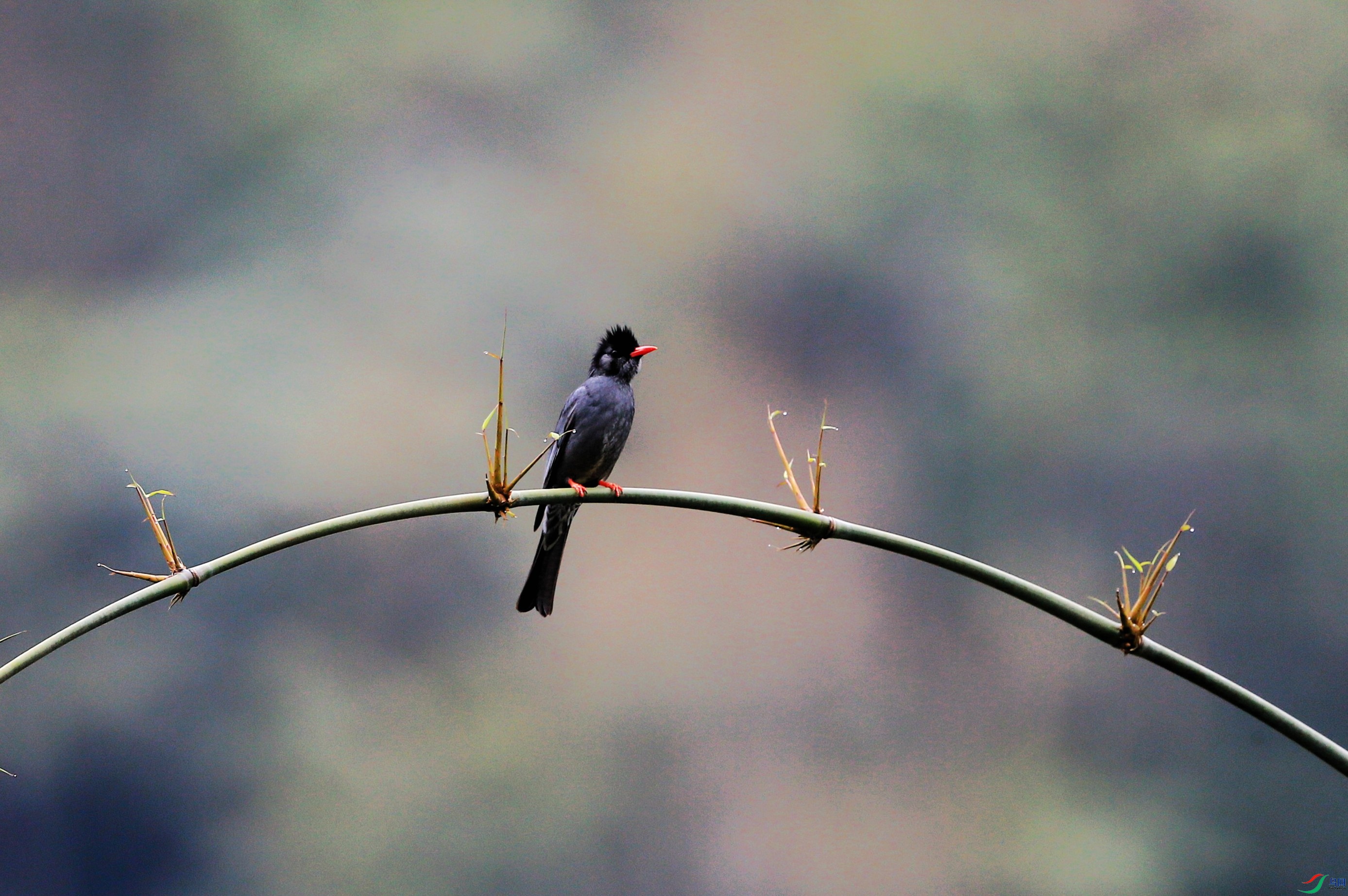 �ڶ̽��� (3).JPG