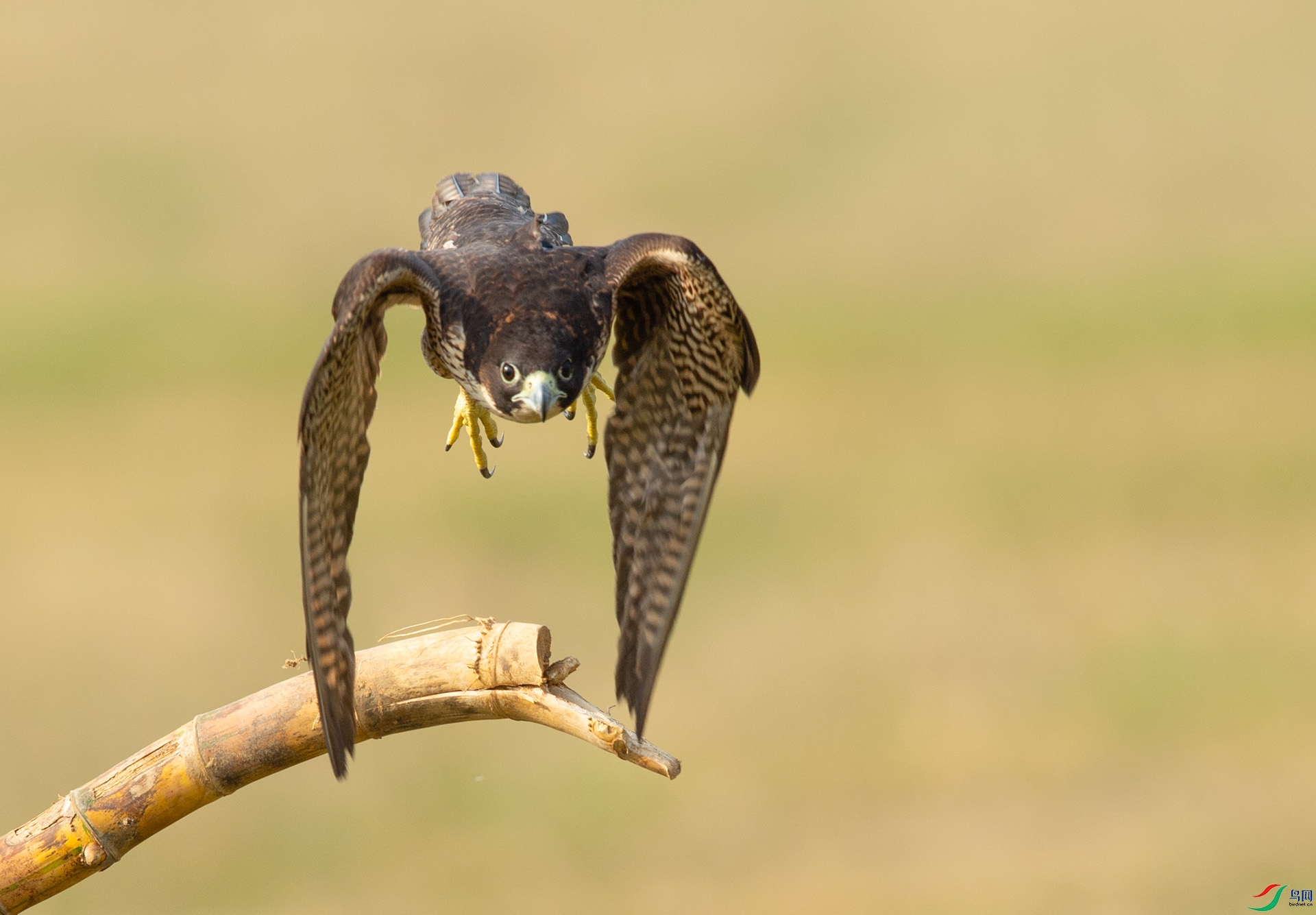 ��DSC_8434.jpg