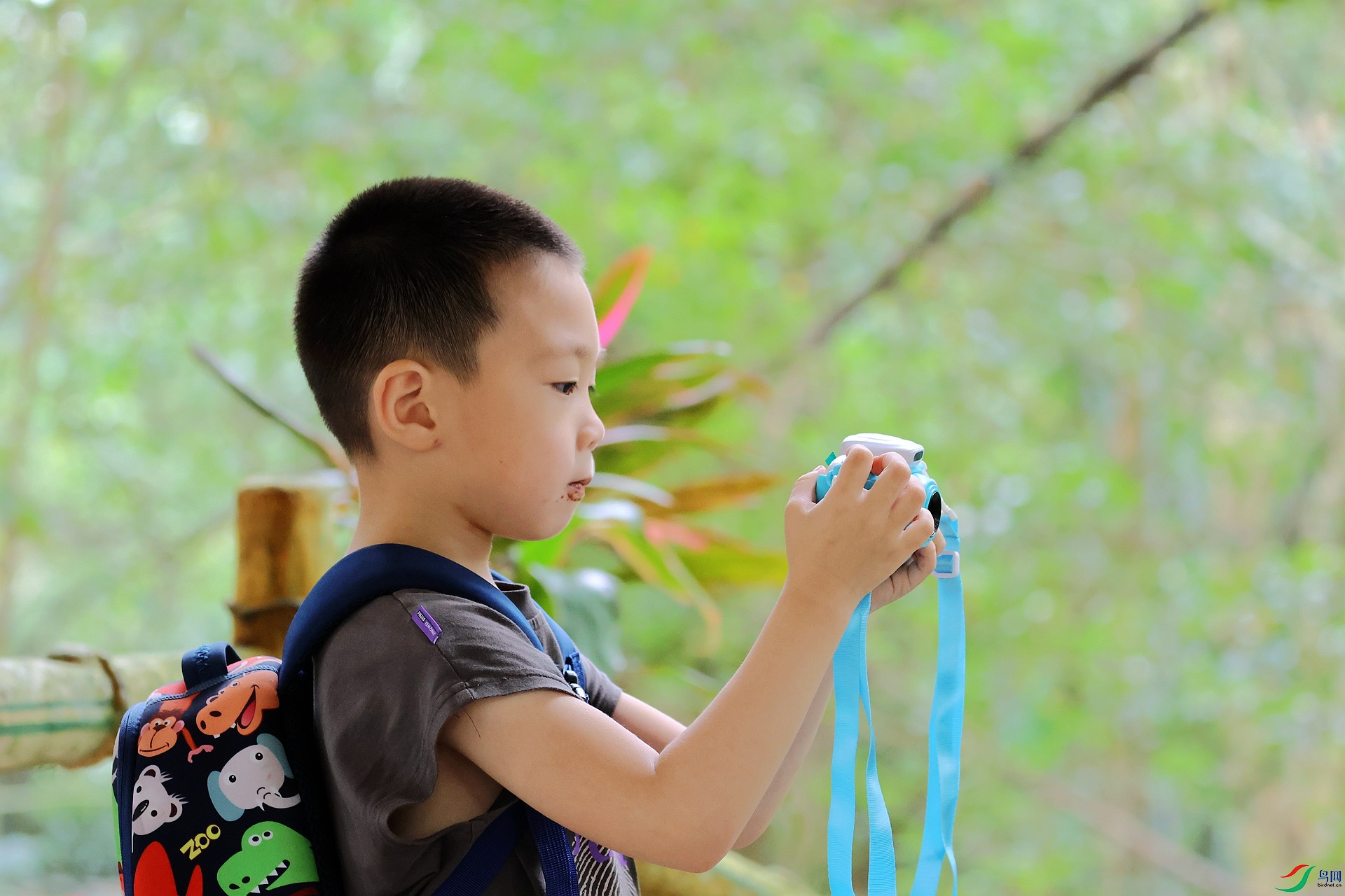 �˲��ϲ������