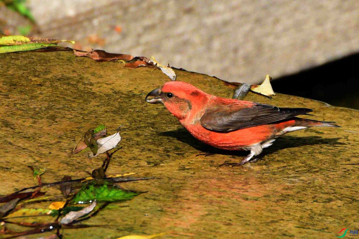 DSC_8423.JPG