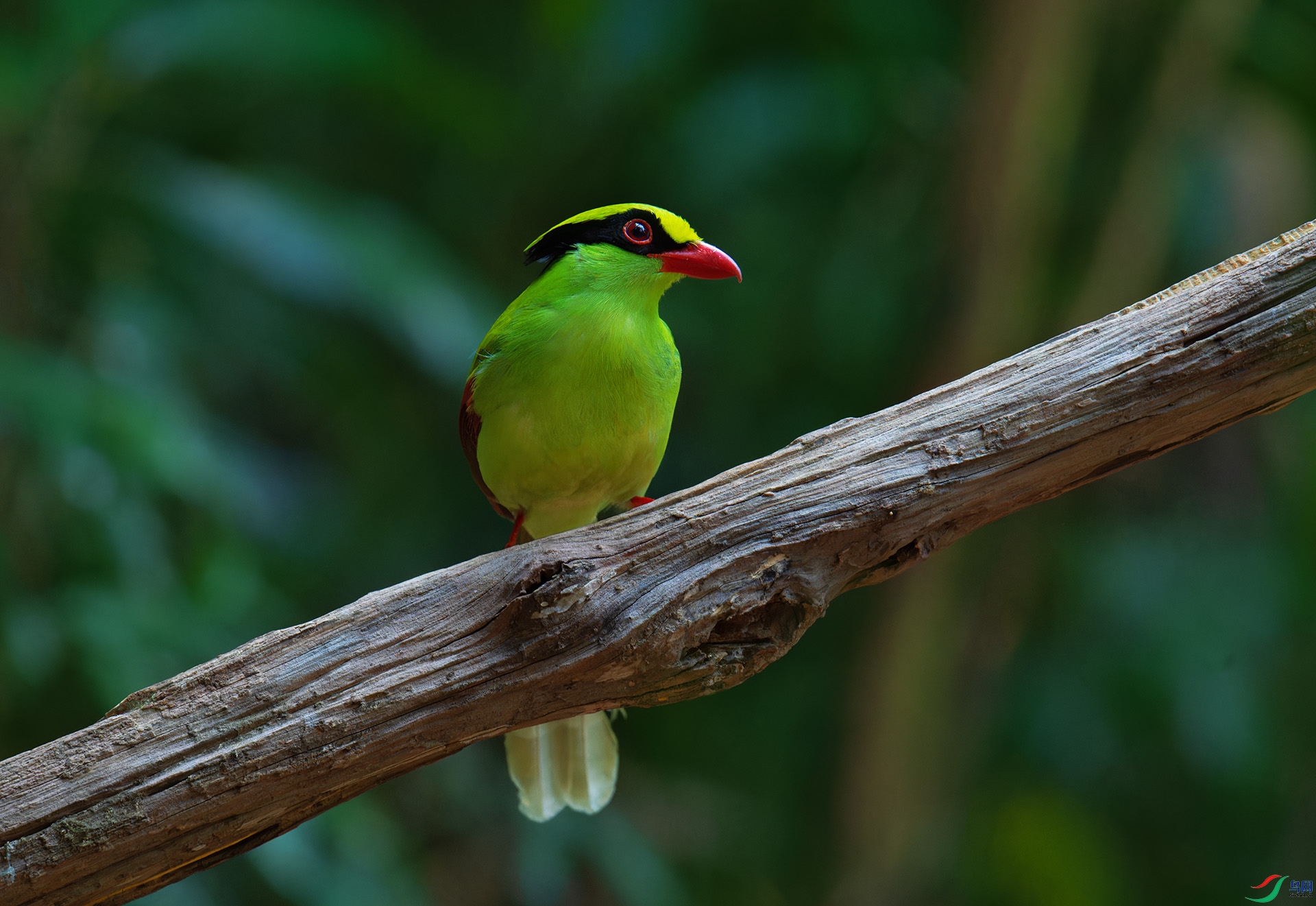 DSC_3902-1.jpg