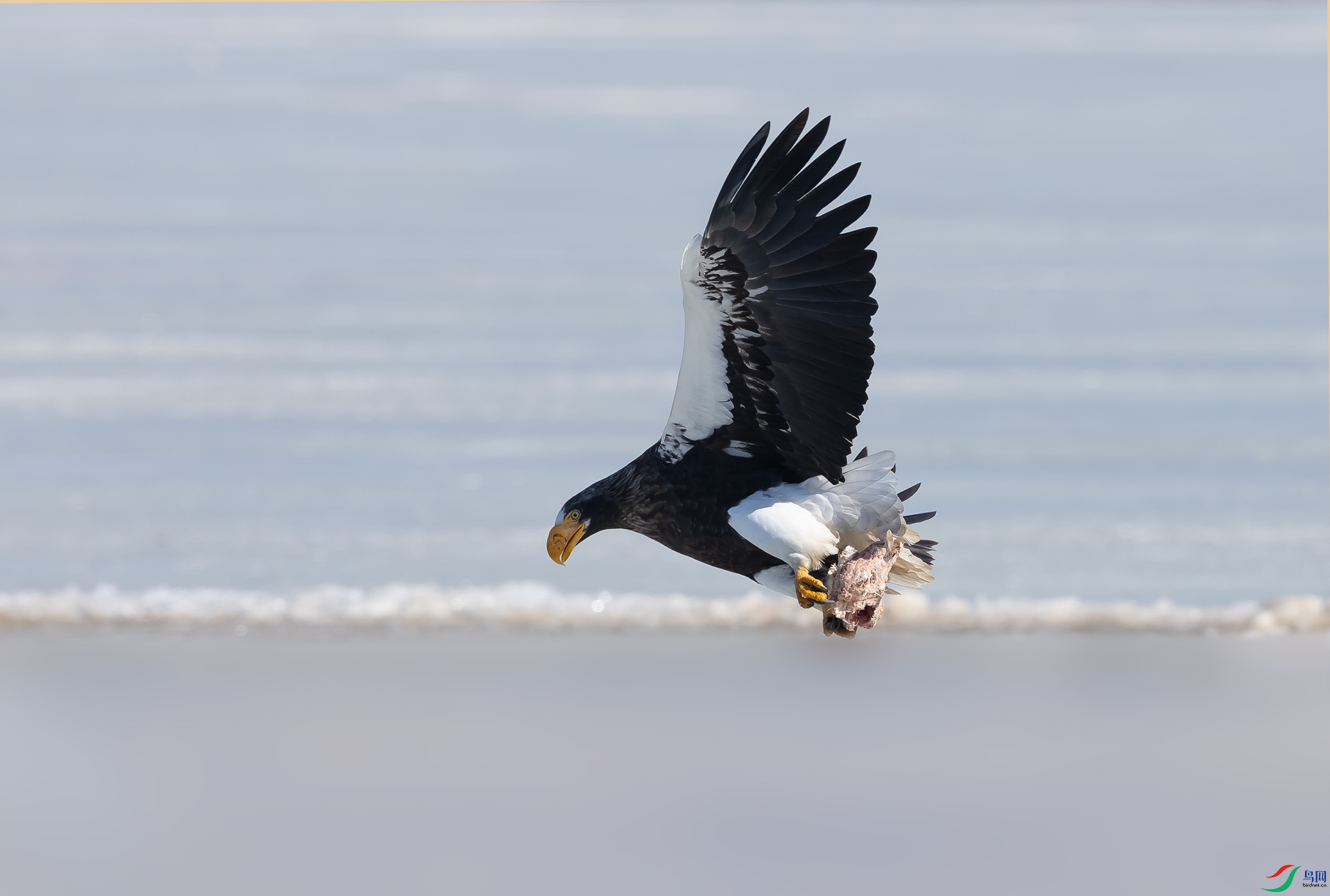 019A1339 ����.jpg