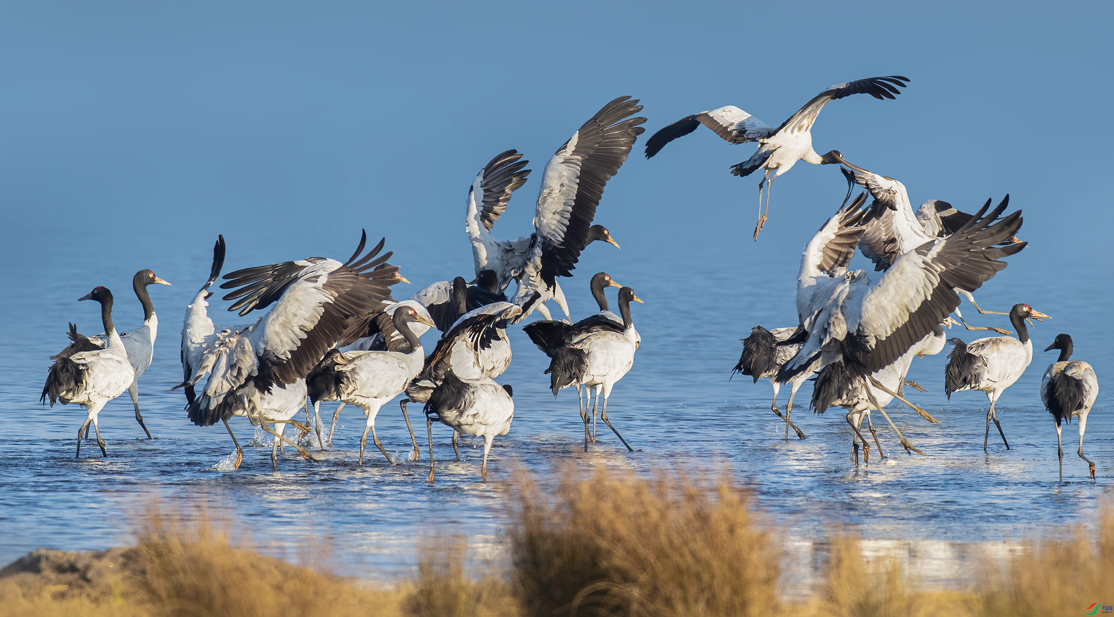 AD1I5771 ����.jpg