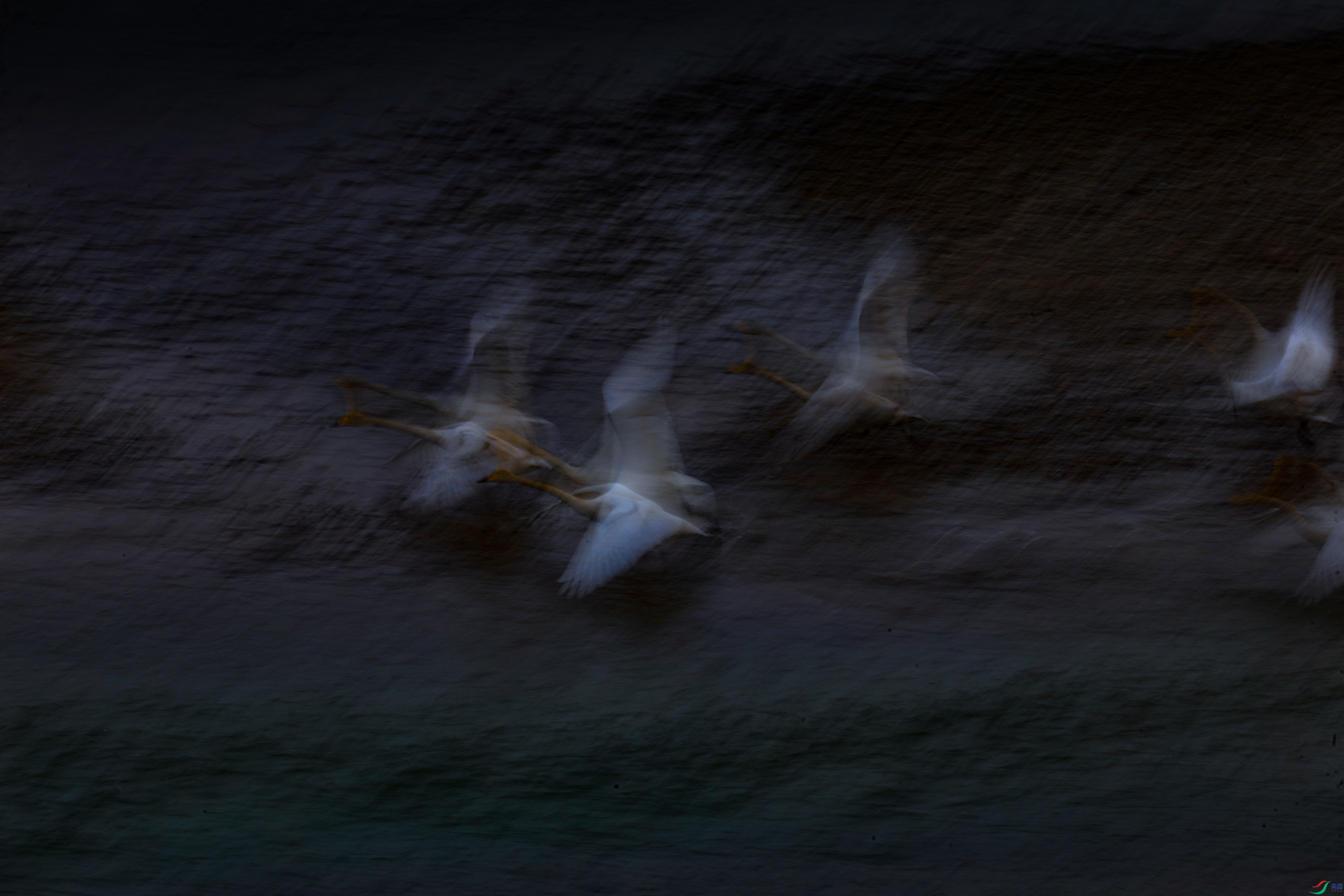 7X5A8175 ���� - ����.jpg