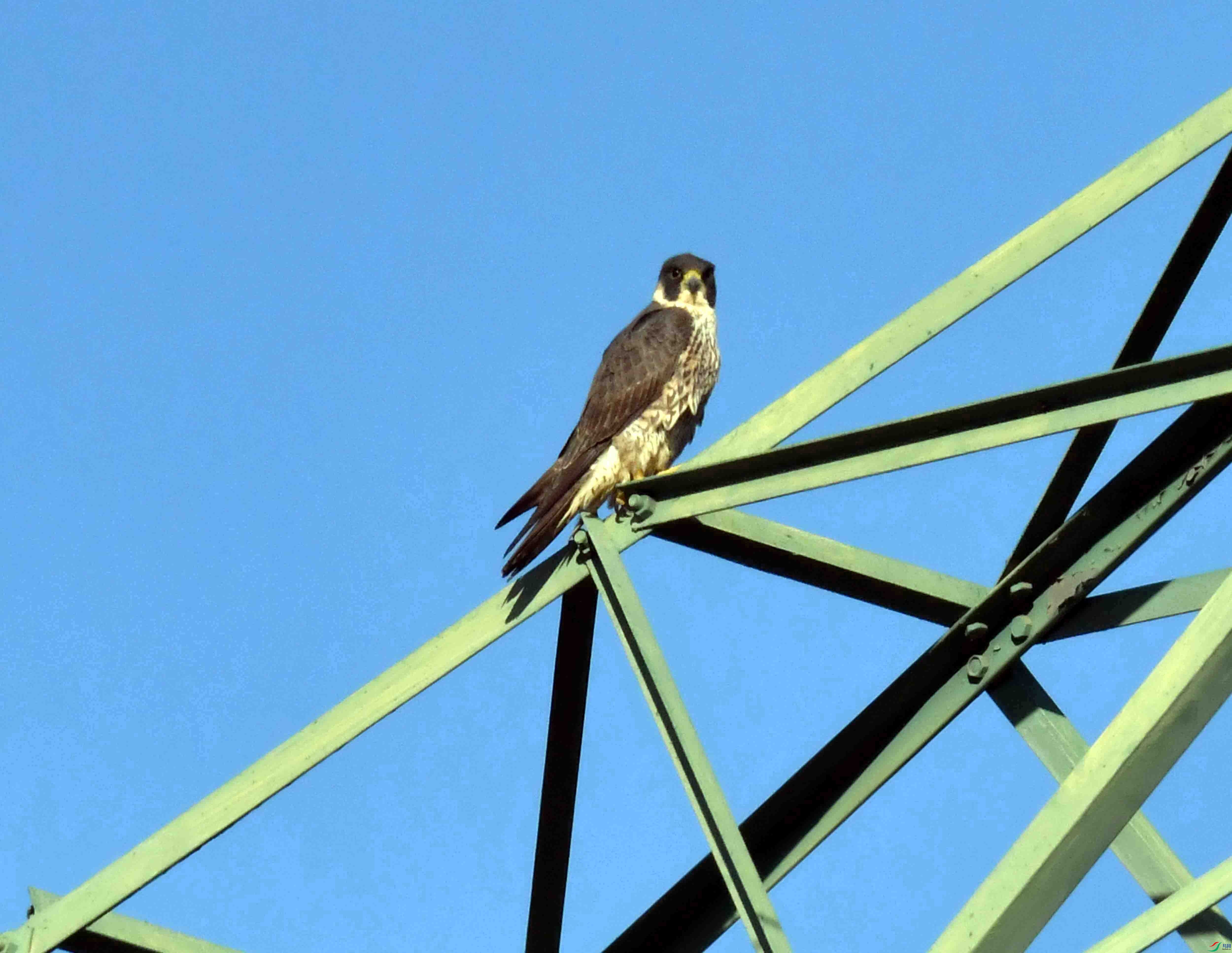 DSC_9280.JPG