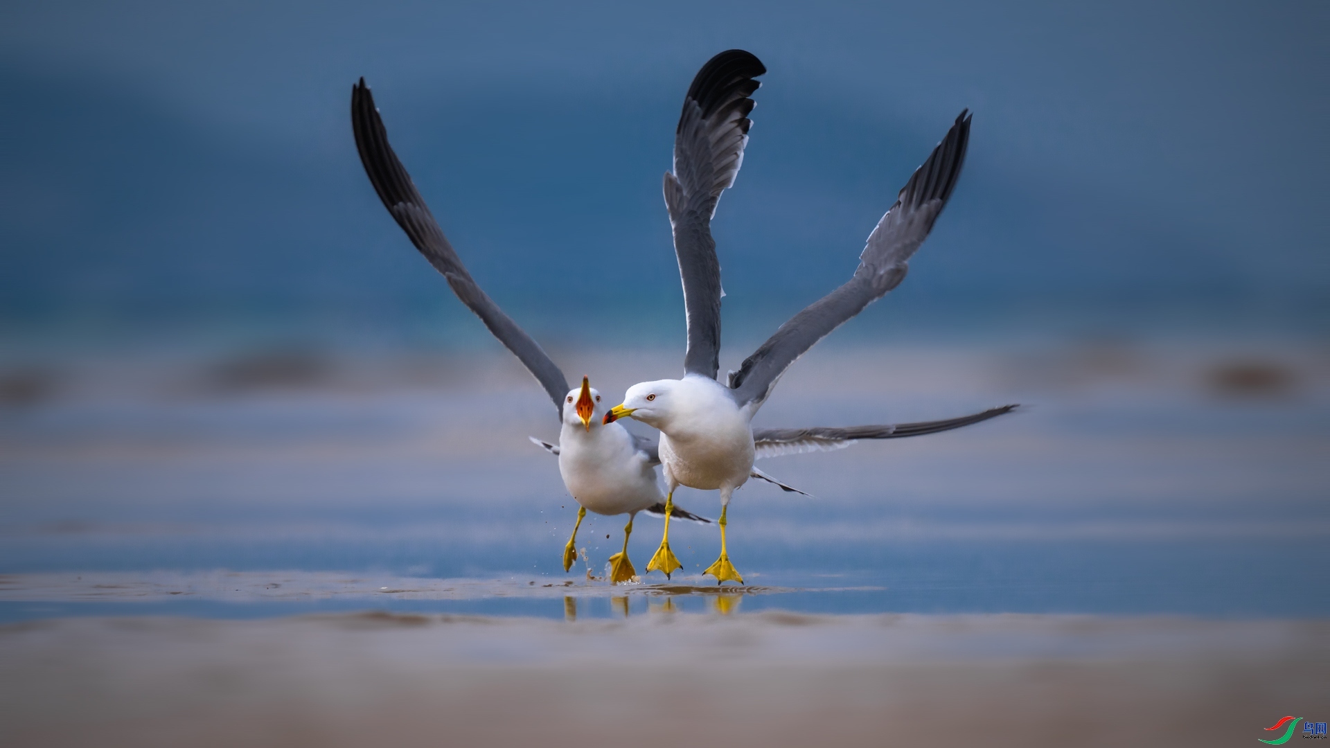 ÿ�ռ���  ׷  ���� ��һ.jpg