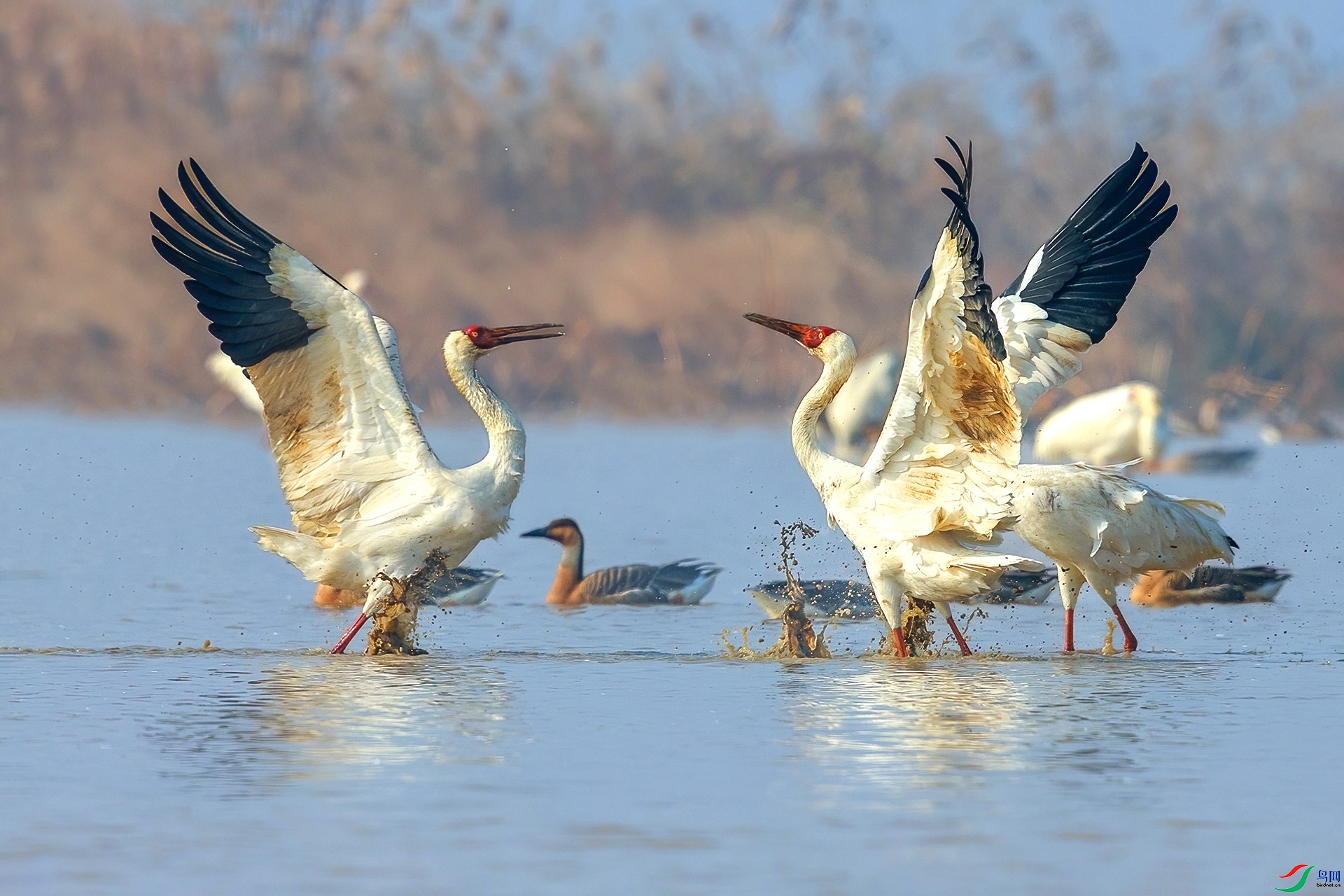 ÿ�ռ��� ���� ���¹�Ӱ  ����.jpg