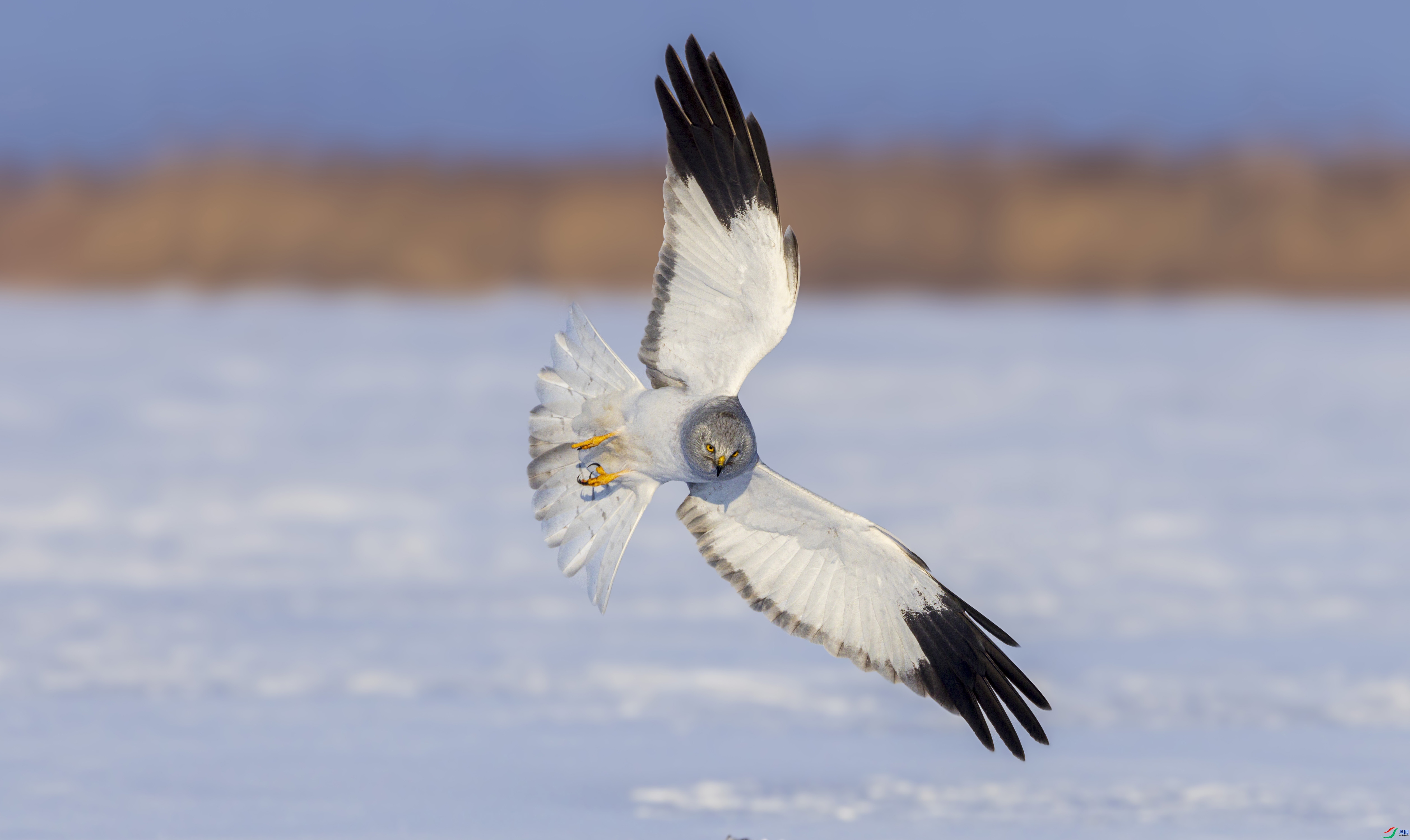 ��β�� ���� ������  ��һ.jpg