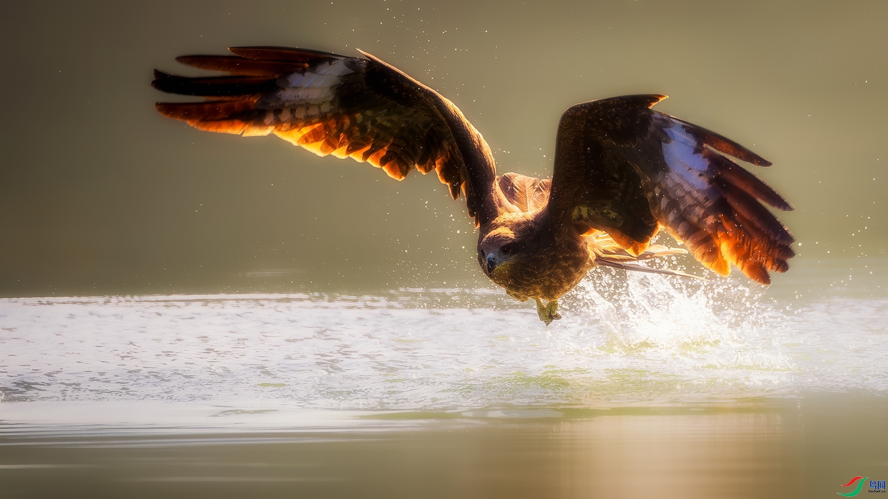 ���� ���� ����Ӱ ��һ.jpg