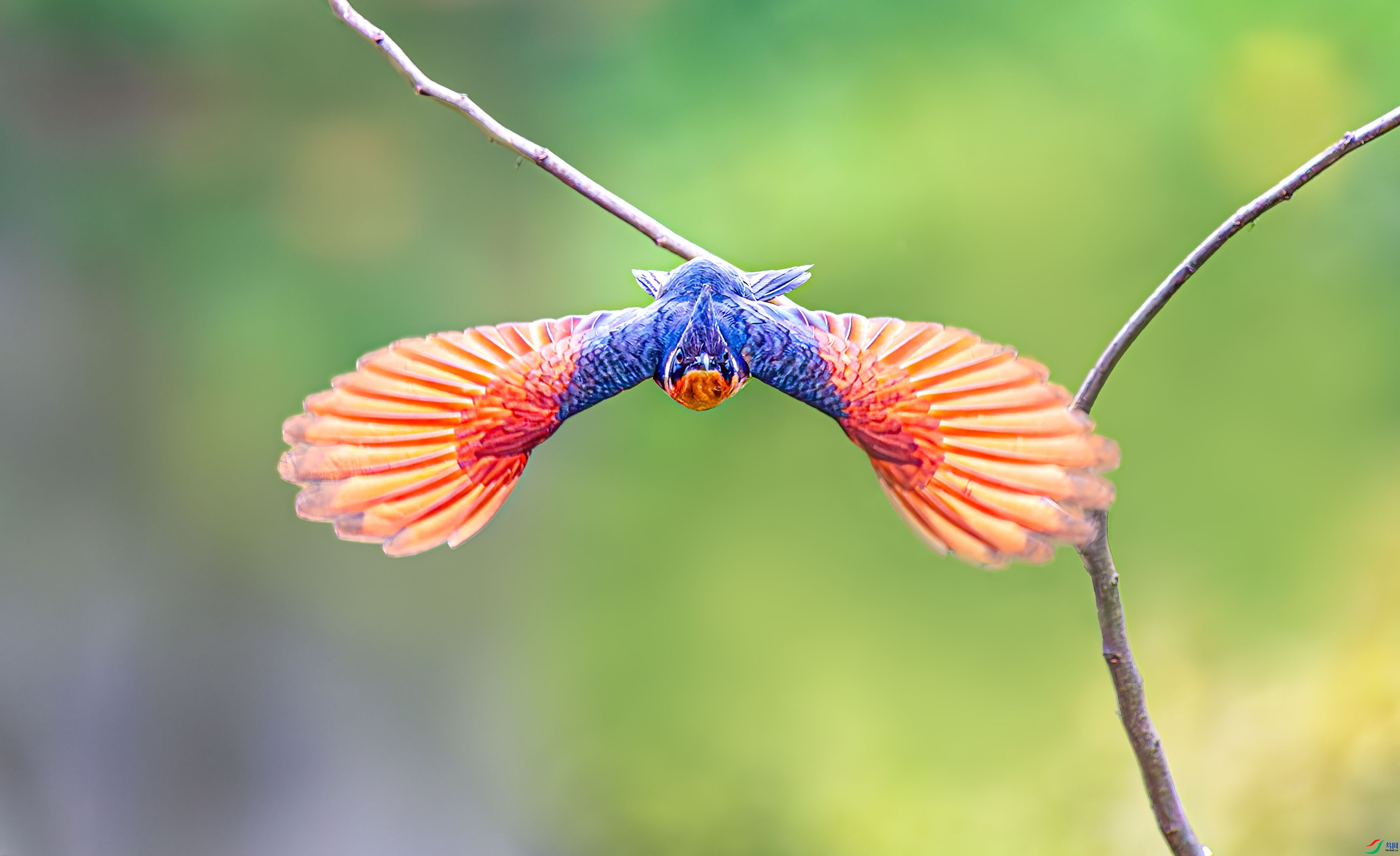 չ�� ���� �ܸ� �ܶ�.jpg