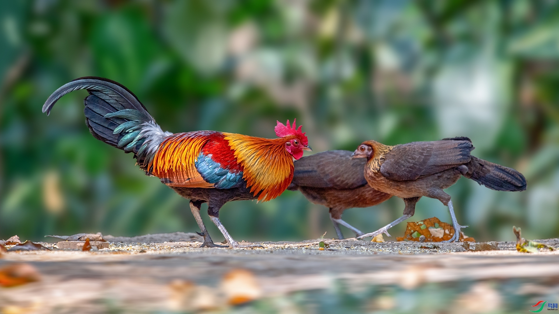 ԭ��  ���� ��ѧ�� �ܶ�.jpg