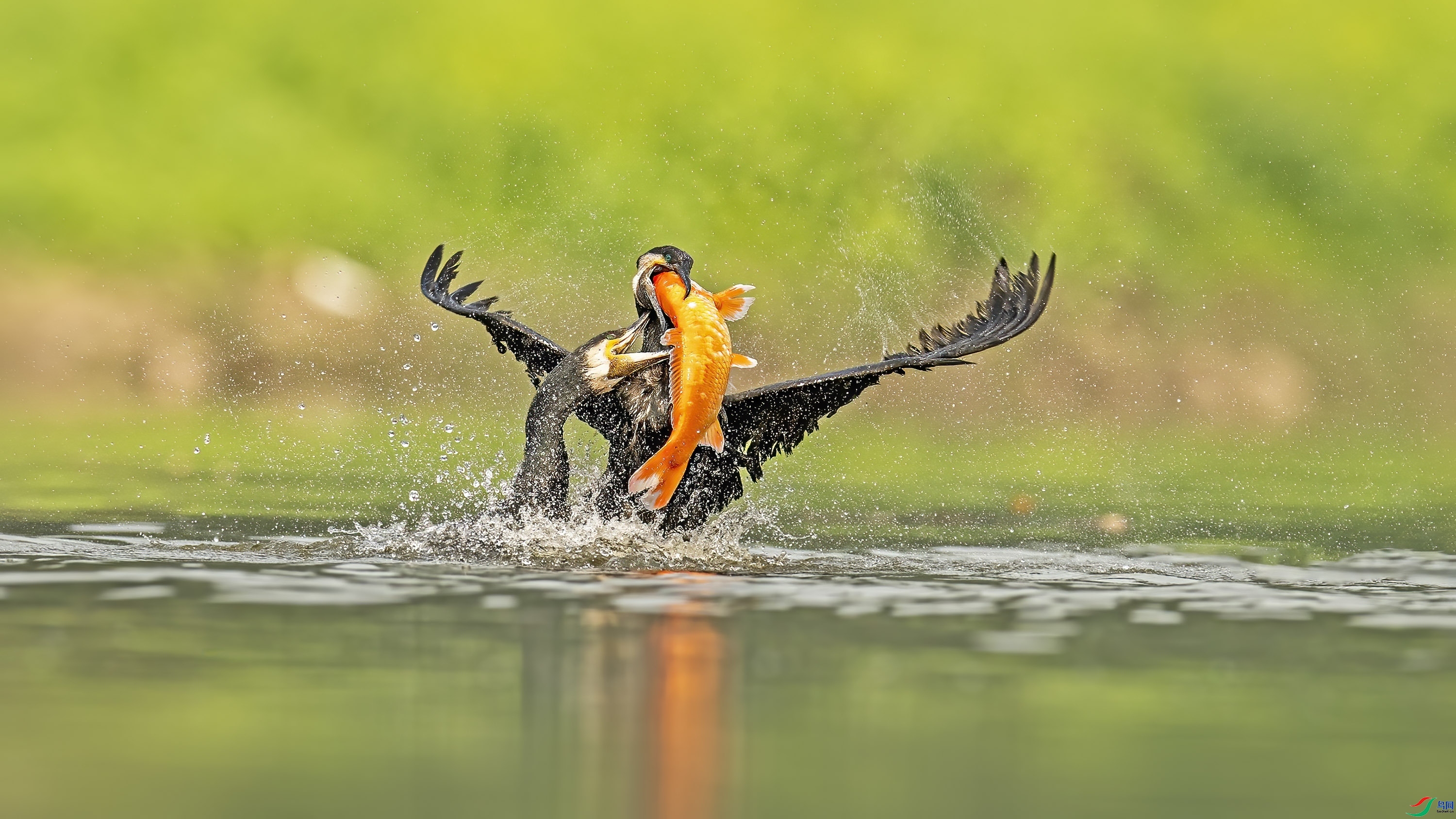 ��� ���� wh�ϳ� ����.jpg