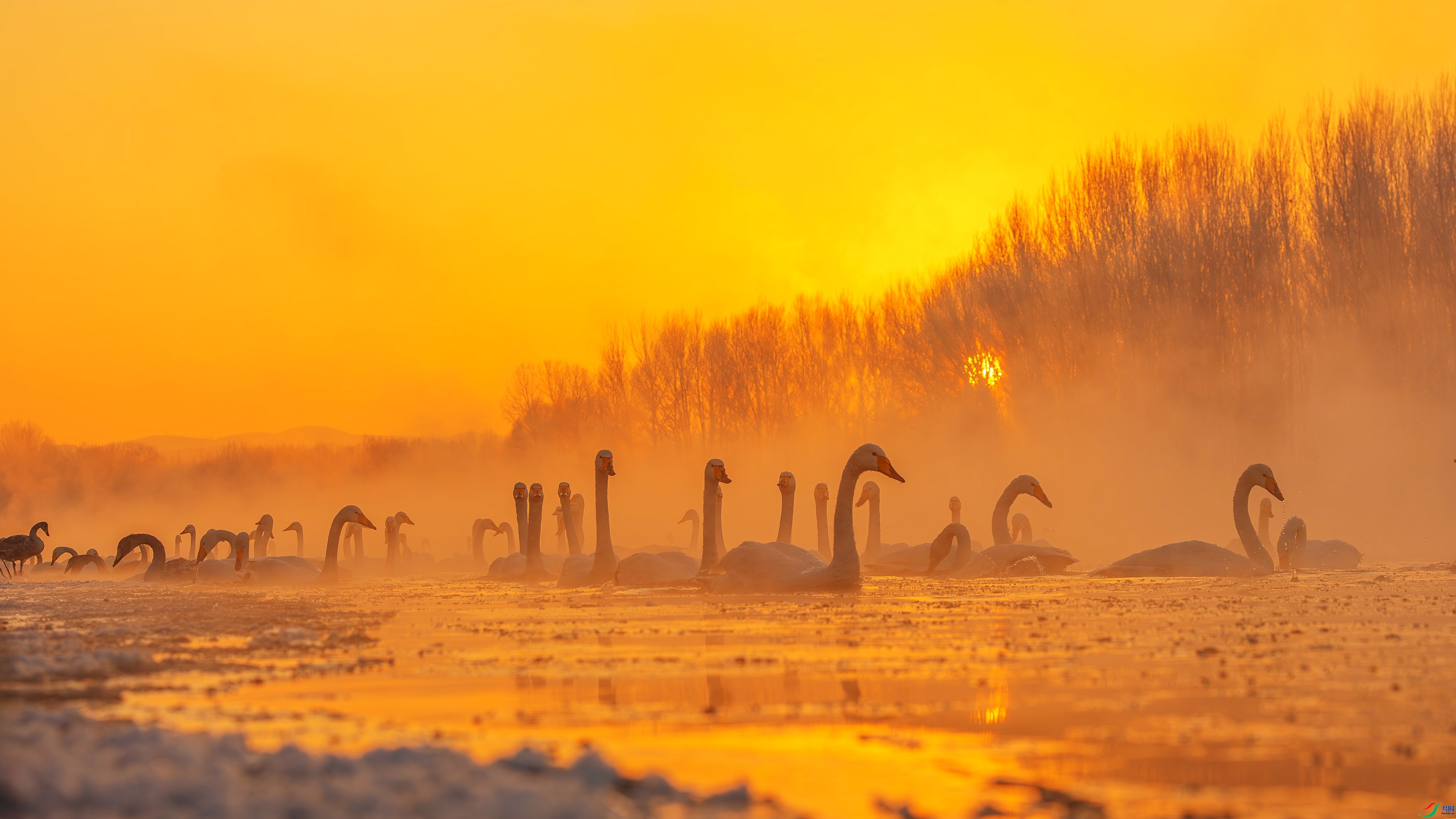 ���� ���� ������ ����.jpg