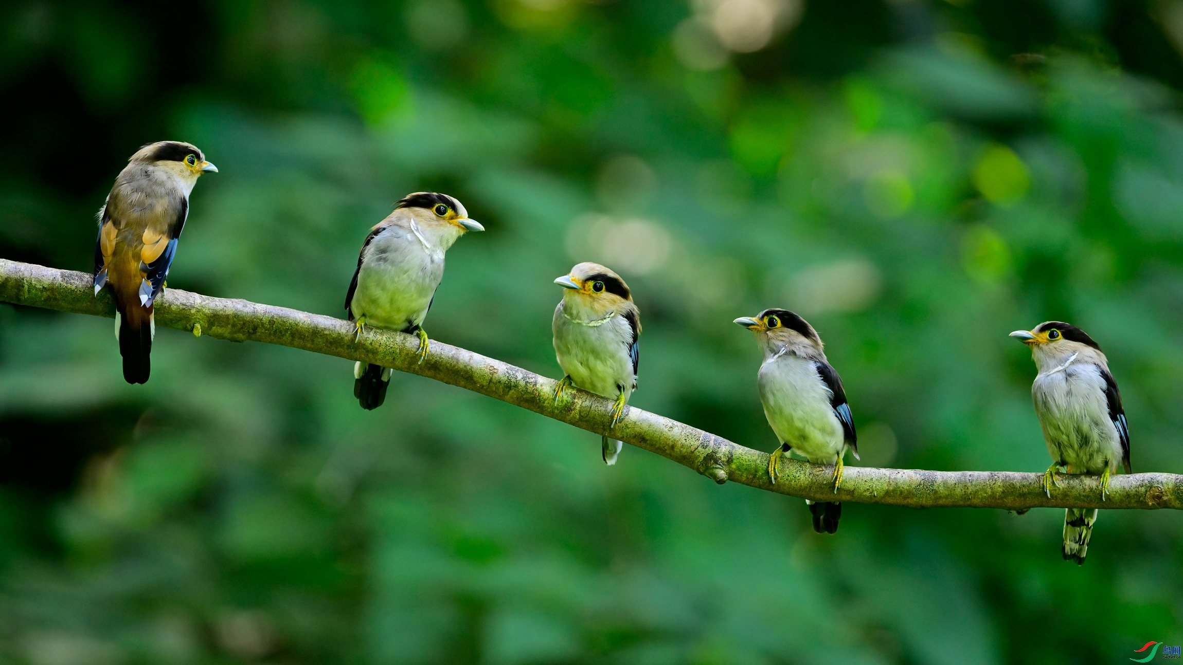 ������ ���� �������-���� ����.jpg