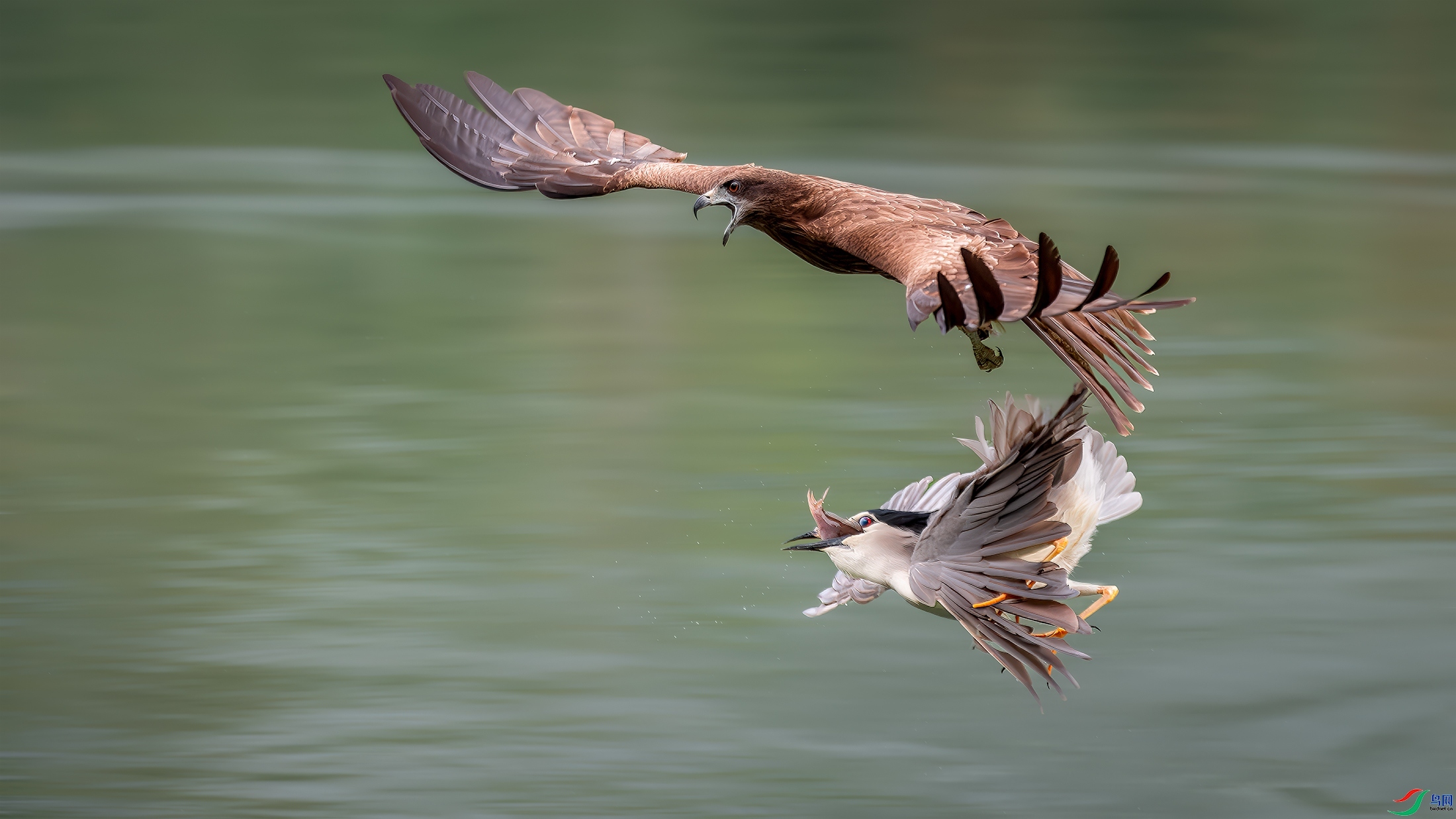 ���  ���� ����Ӱ ����.jpg