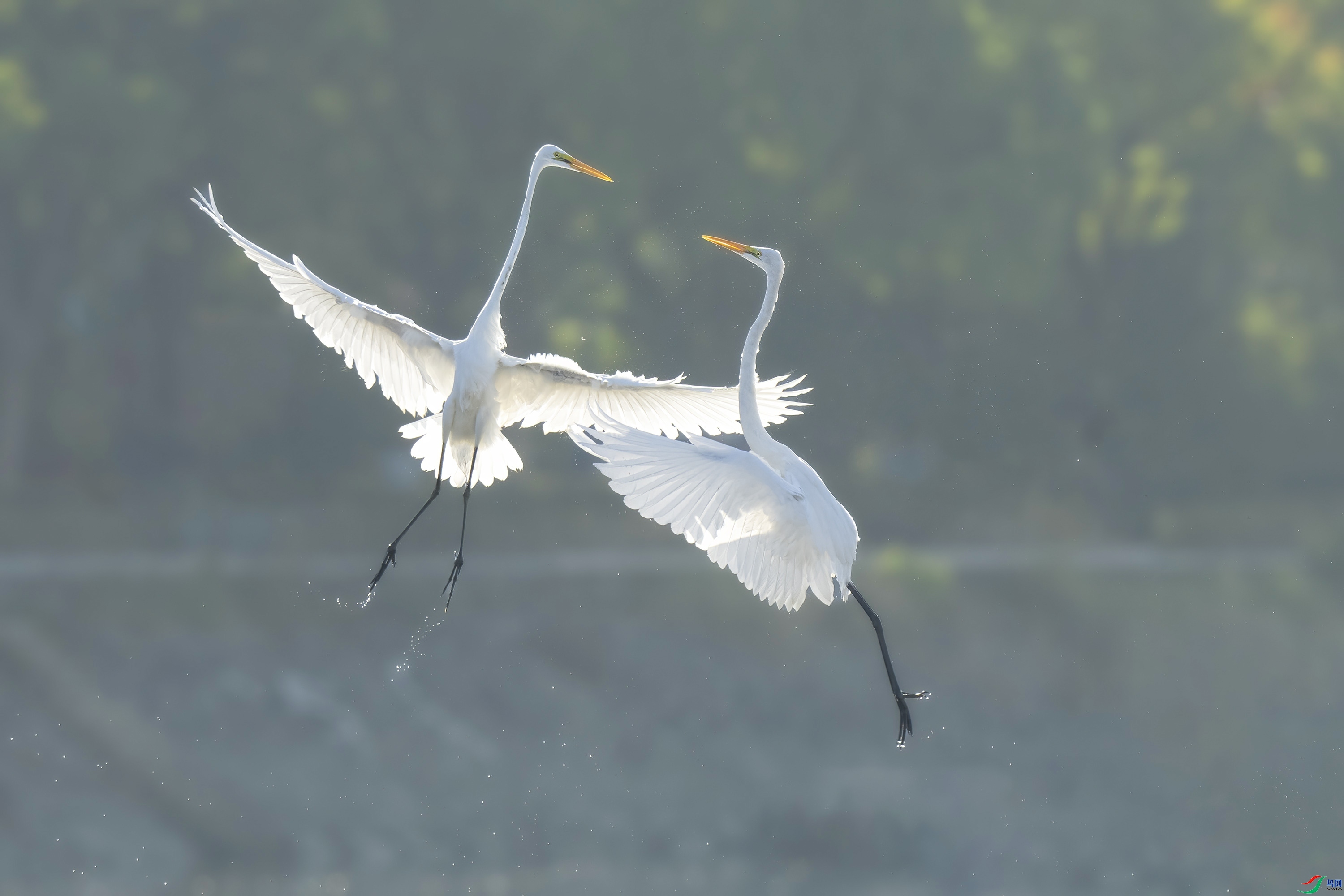 ���а��� ���� ���� ����.jpg