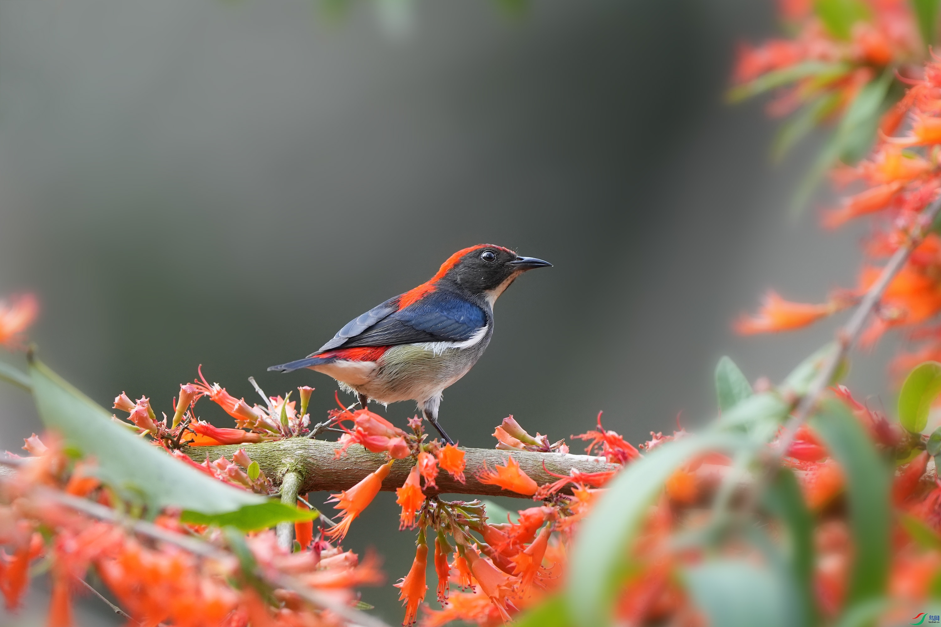 DSC00080 ����.jpg