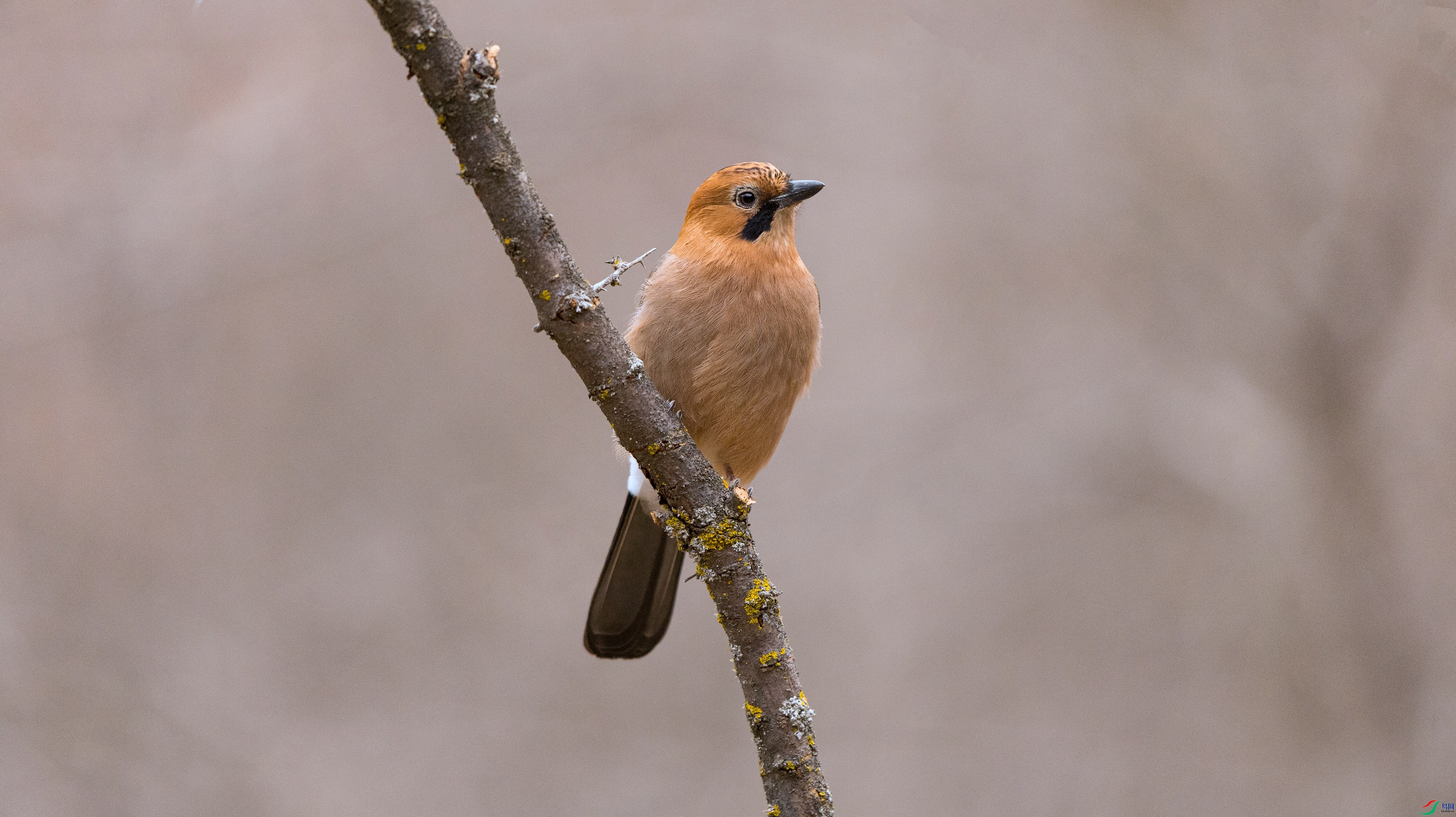 7X5A0427 ���� - ����.jpg