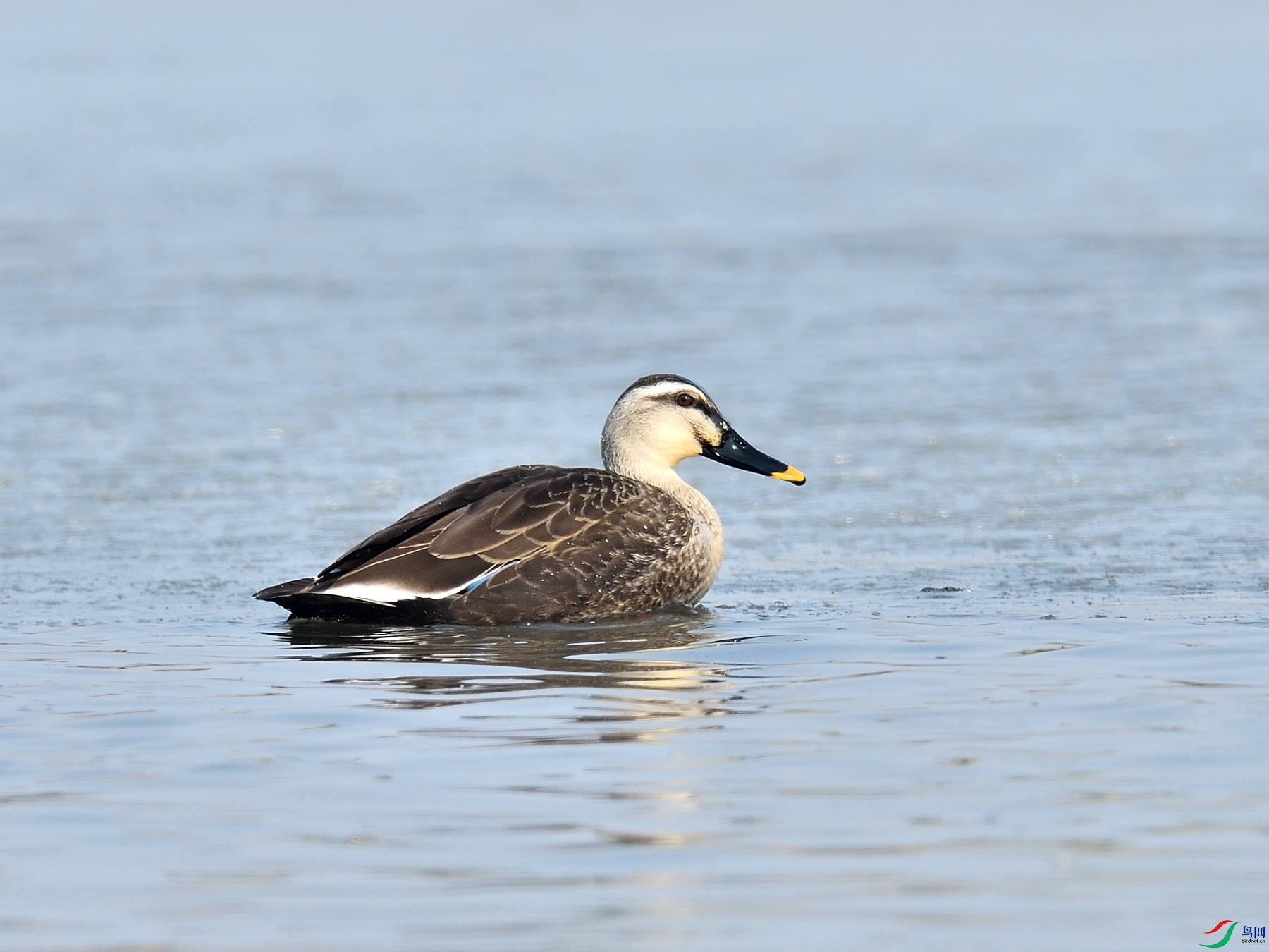 DSC_2048.JPG