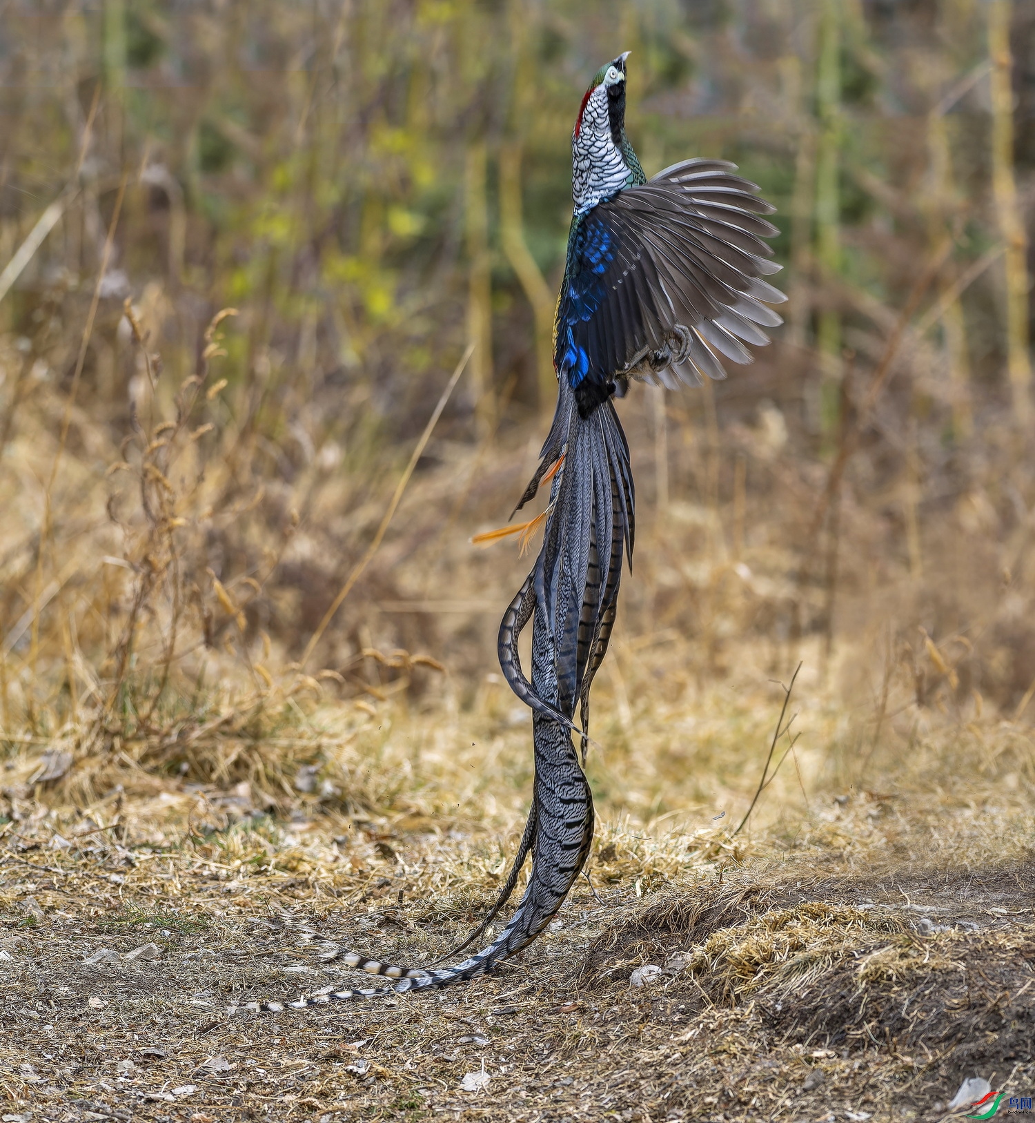 �׸����� (һ�� (20)-1.jpg