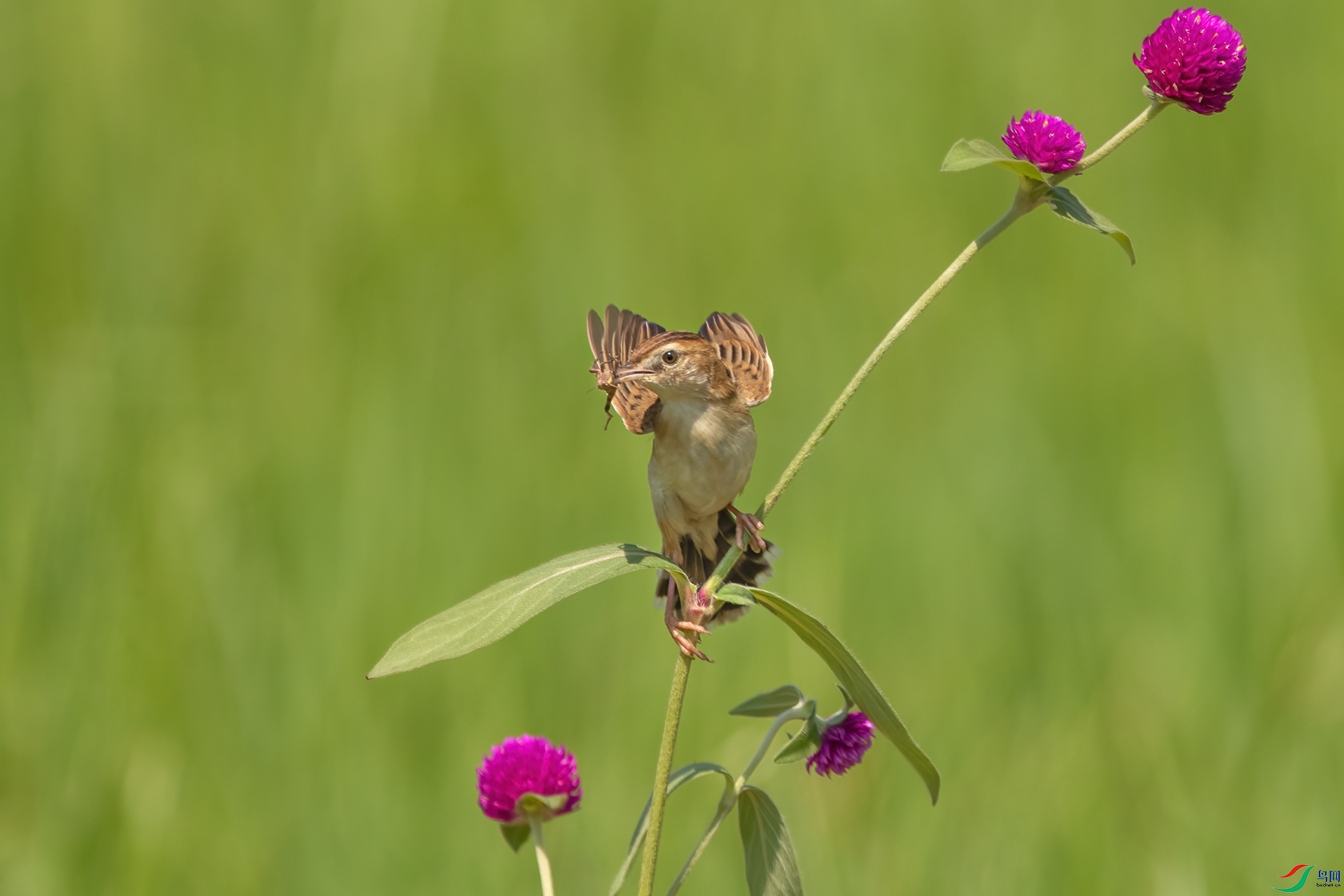 B86I5055 _����.jpg