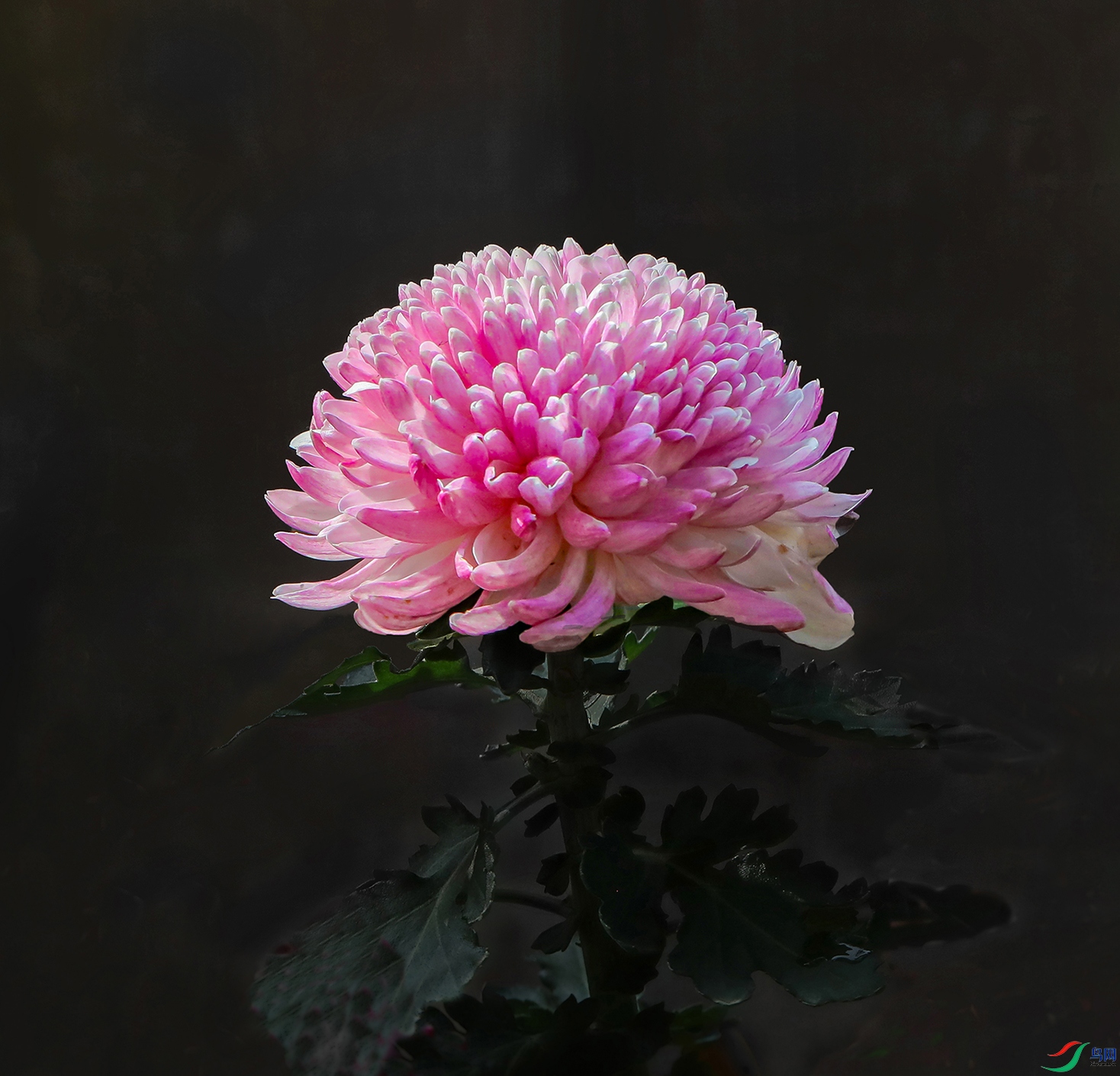 0000583A0152 �Ѱ� 1000k.jpg